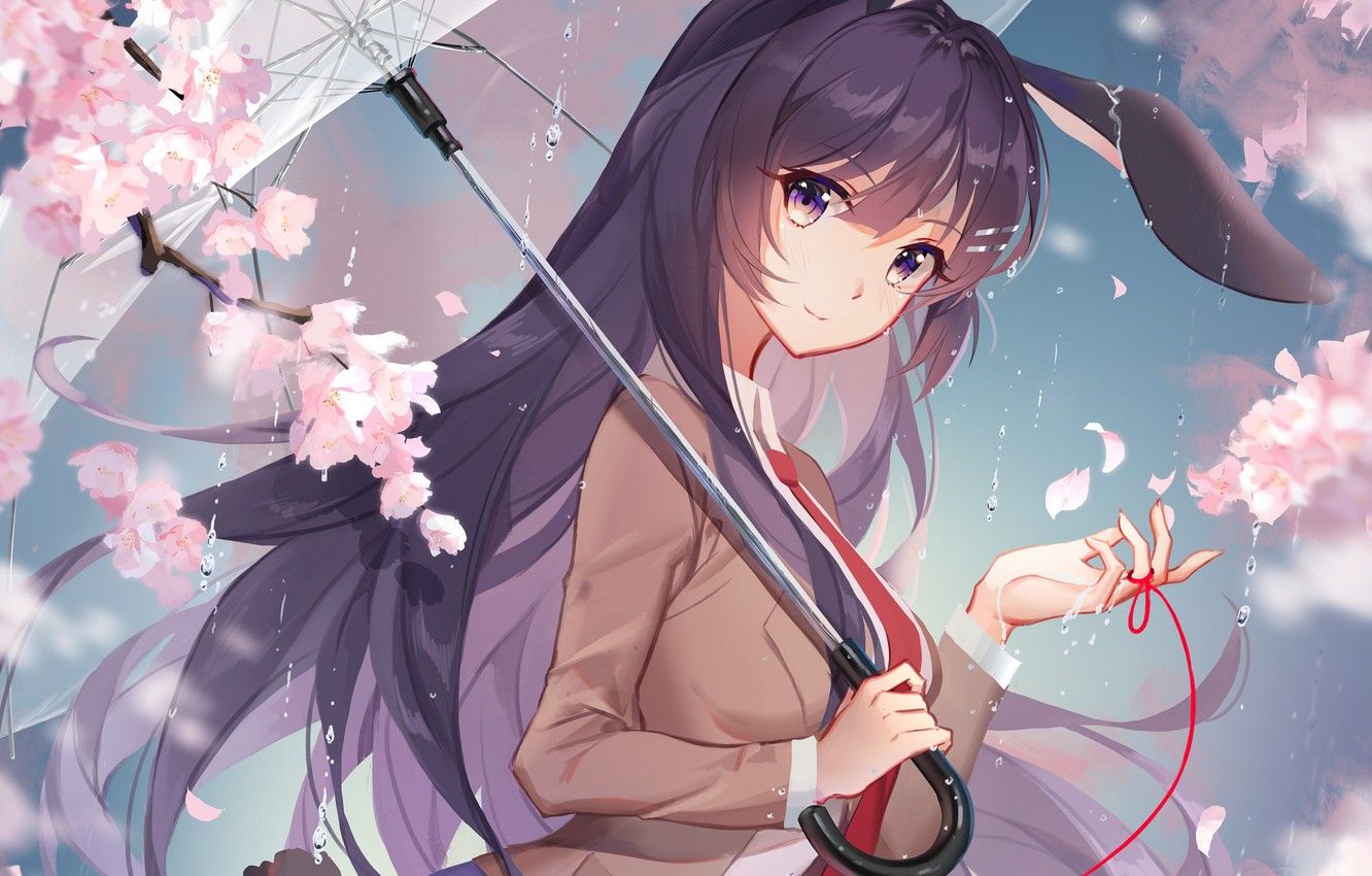 Wallpaper girl, flowers, rain, umbrella, Sakura, Seishun Yarou wa
