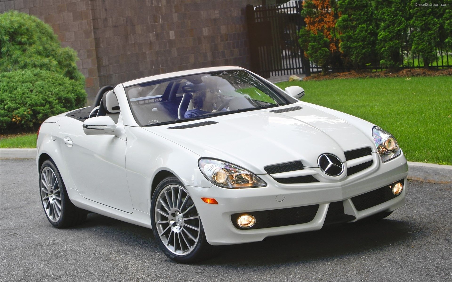 Mercedes Benz SLK300 Diamond White Edition 2010 Widescreen Exotic