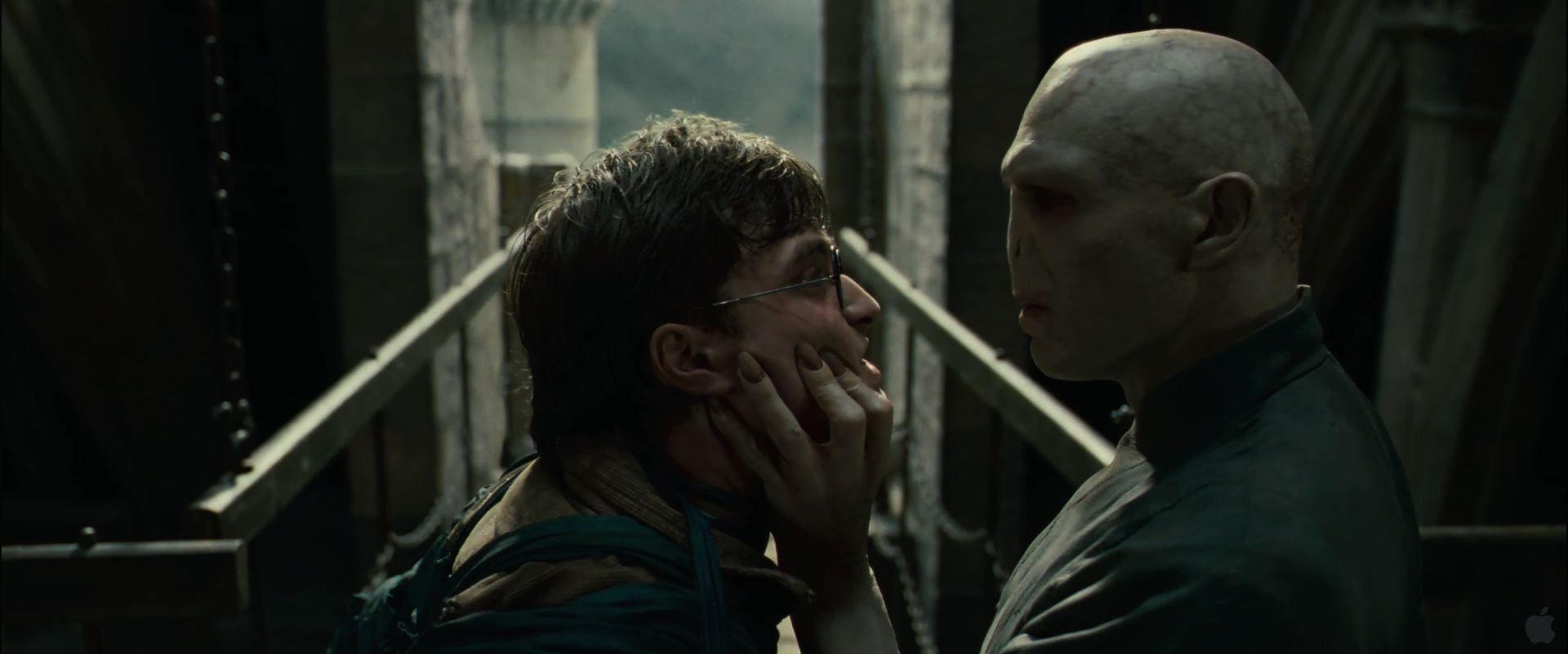 Voldemort Confronts Harry from Harry Potter and the Deathly Hallows