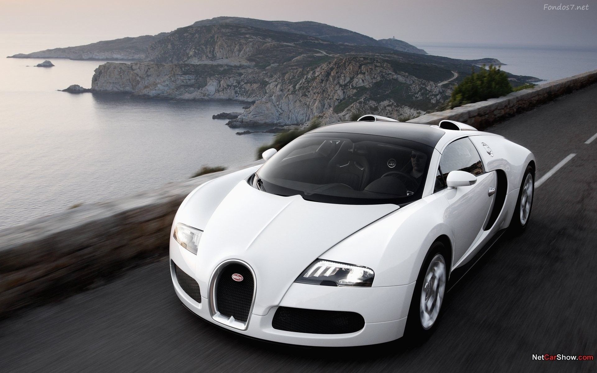 Bugatti Chiron HD Wallpaper Veyron All White, HD