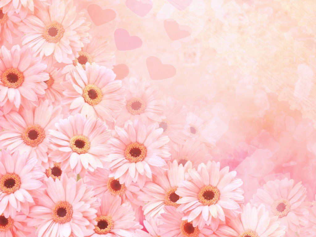 Free download Cute pink flower PPT Background