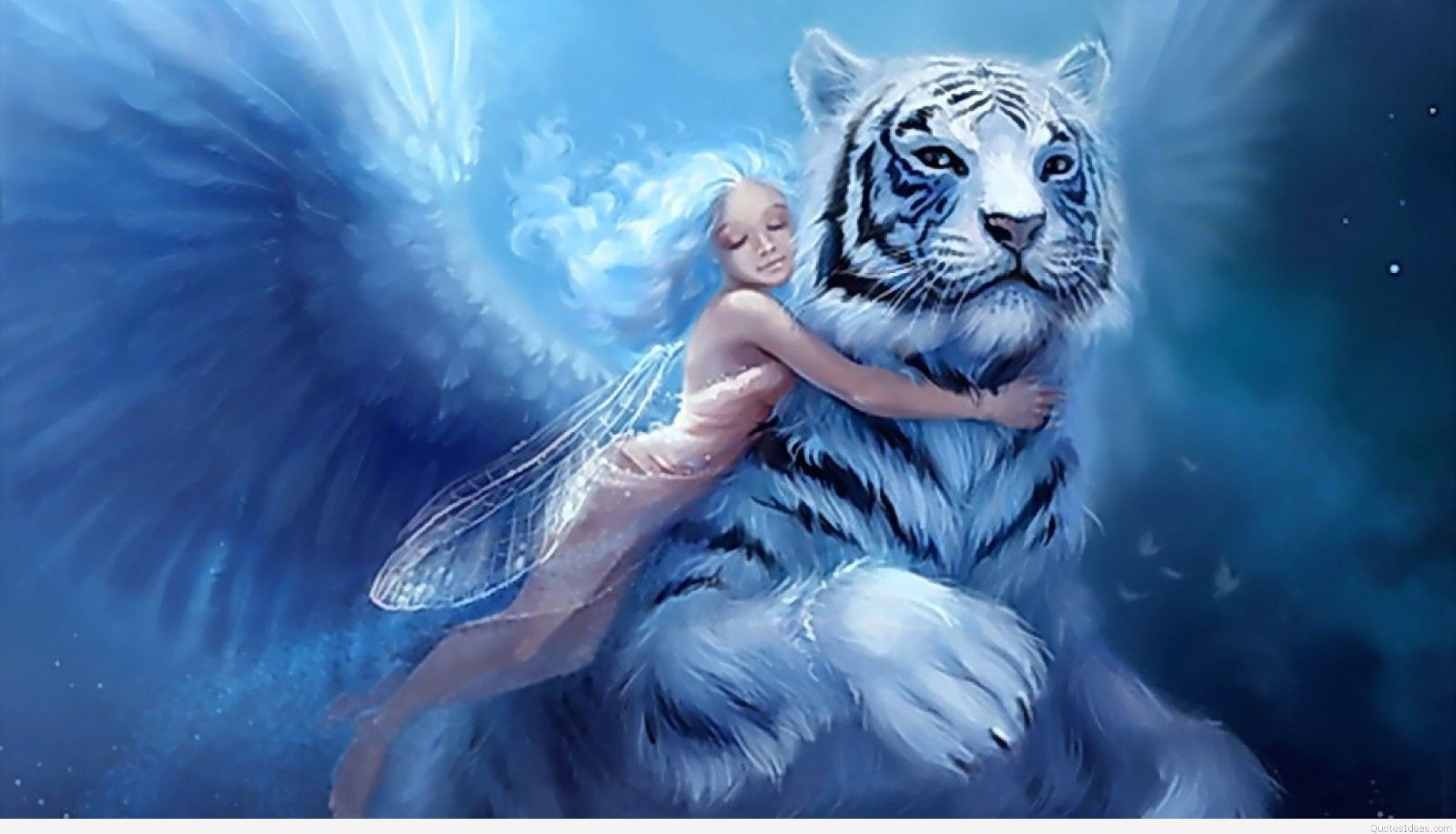 Top Animation Fantasy Wallpaper HD