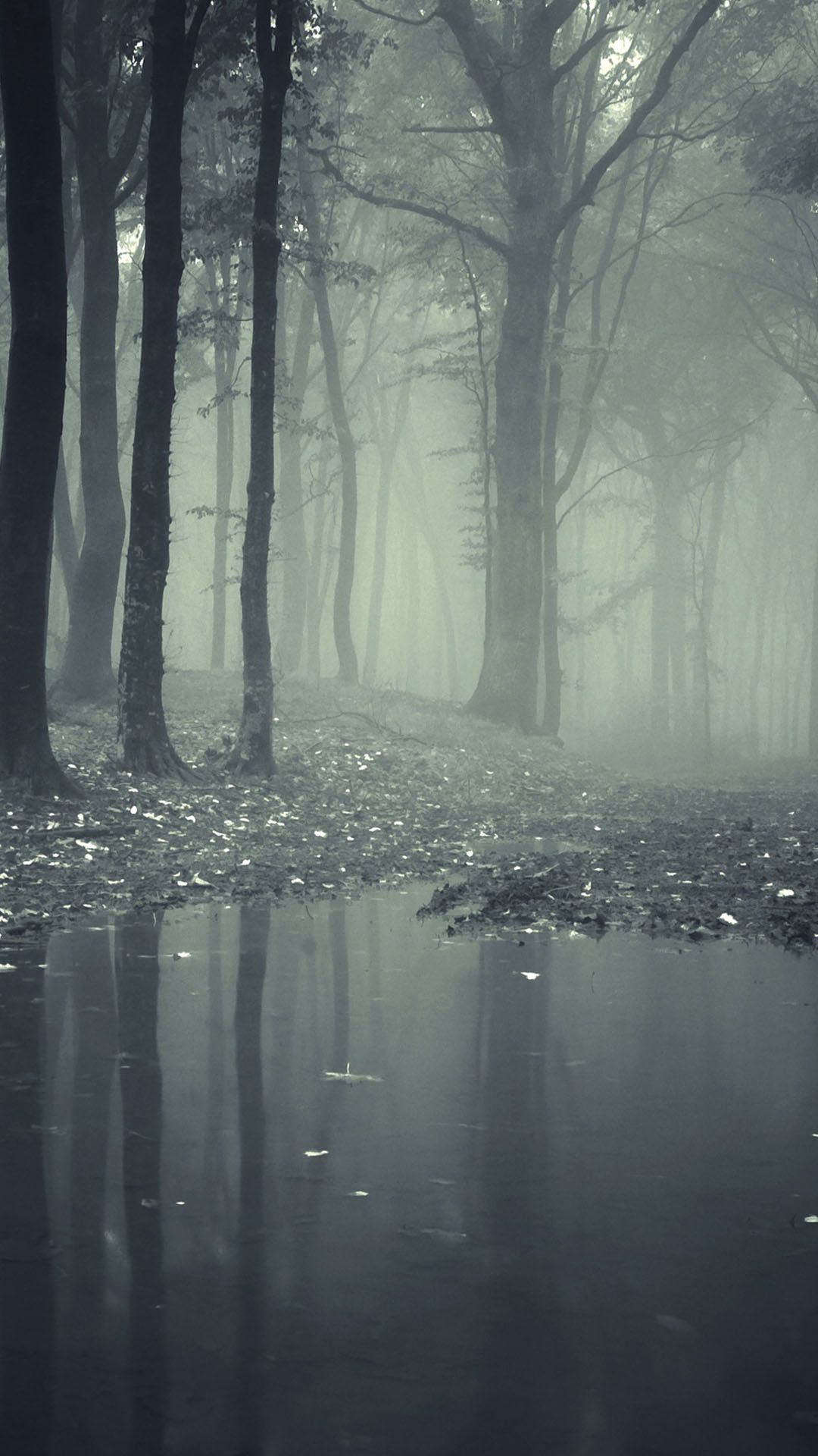 Horror Misty Dark Forest Android Wallpaper free download