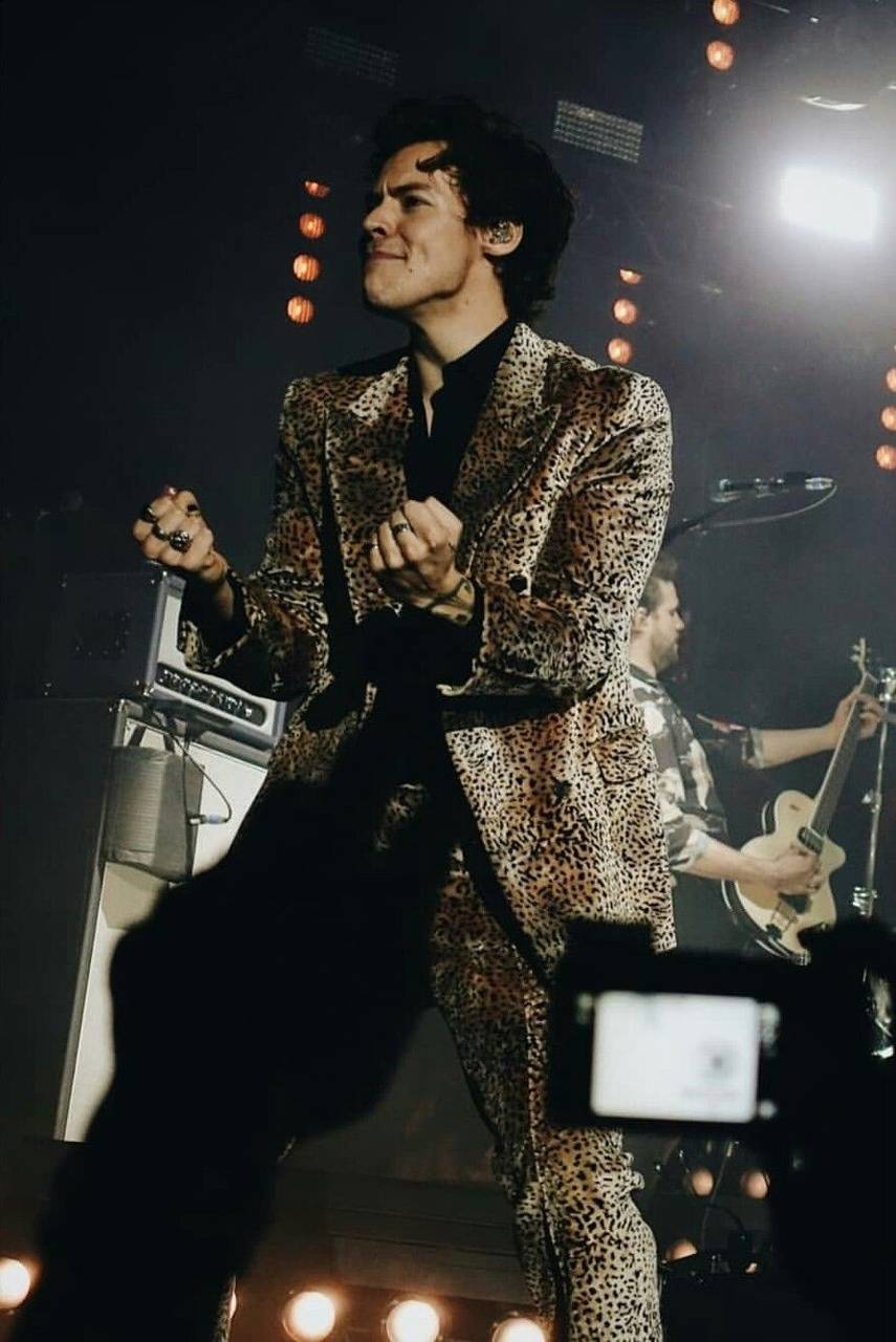 Harry Styles Tour wallpaper