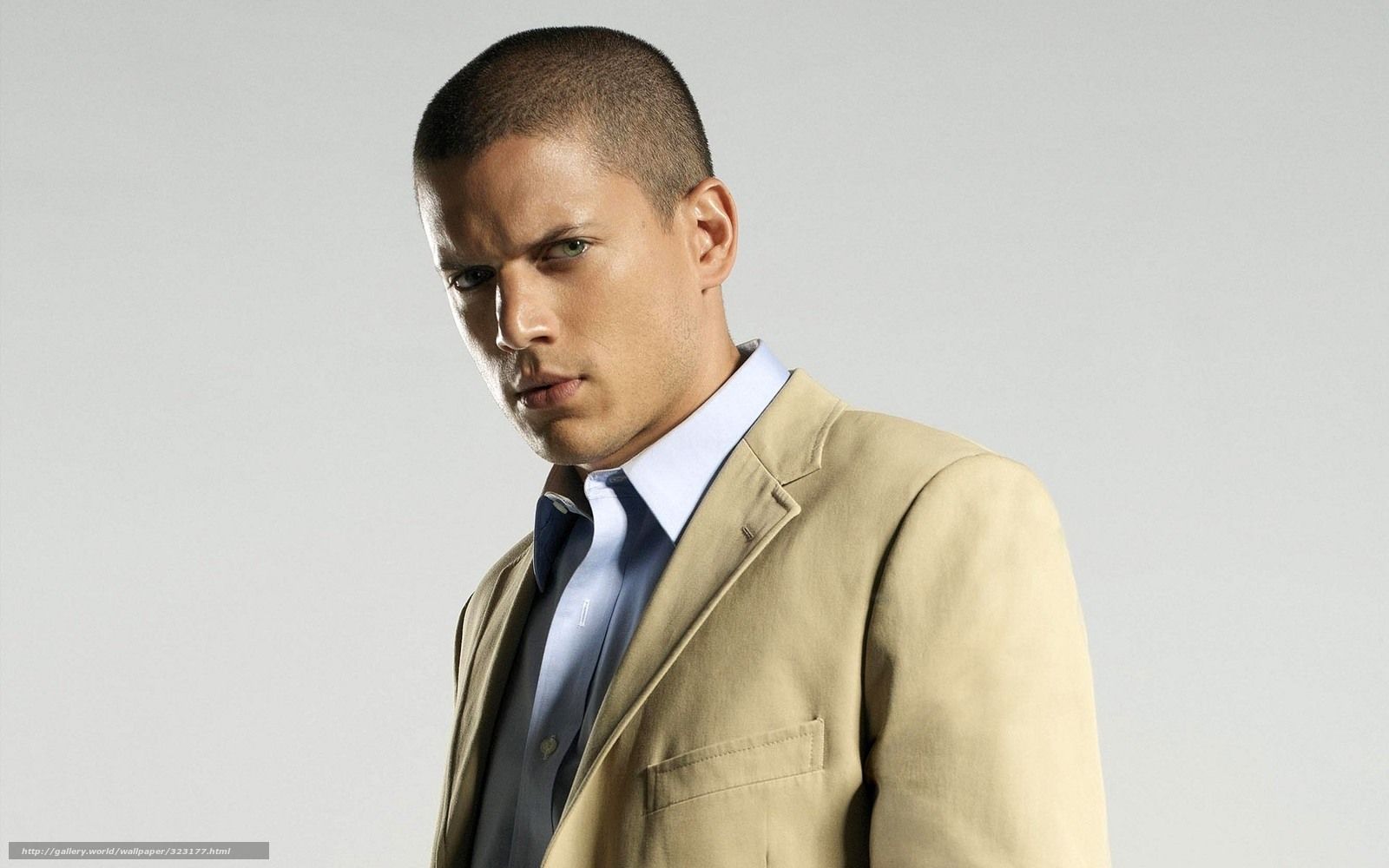 Download wallpaper Wentworth Miller, actor, escape, Michael