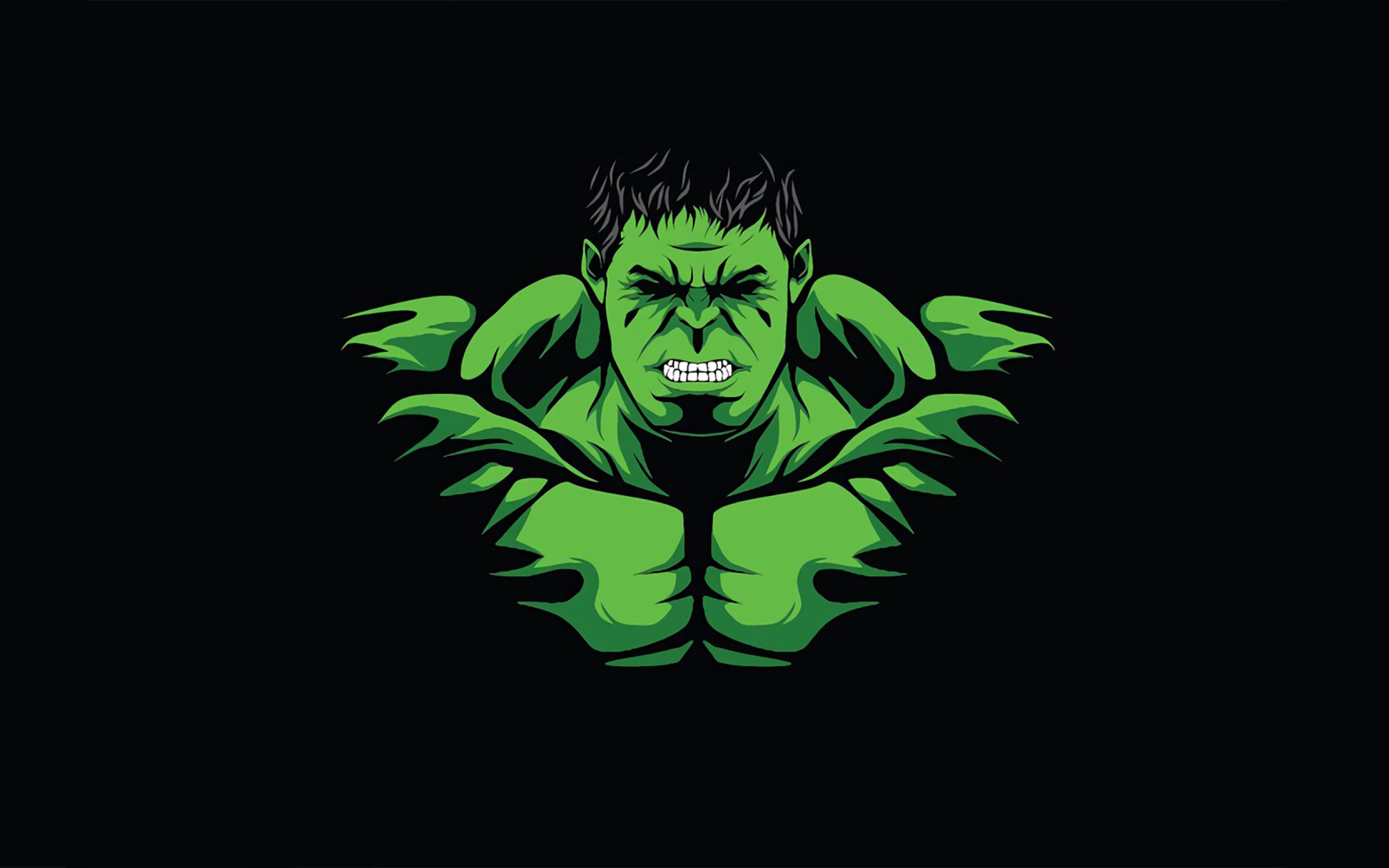 Hulk Minimal 2560x1600 Resolution Wallpaper, HD
