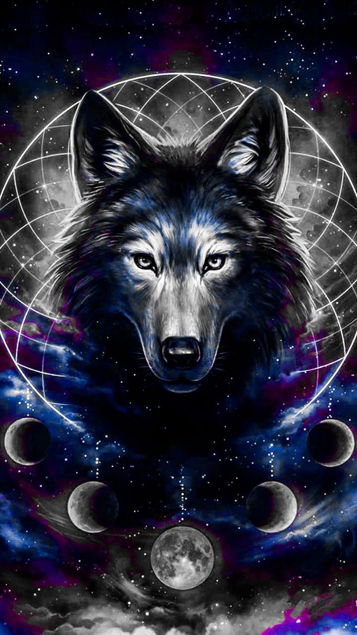Download Wolf drawing Wallpaper