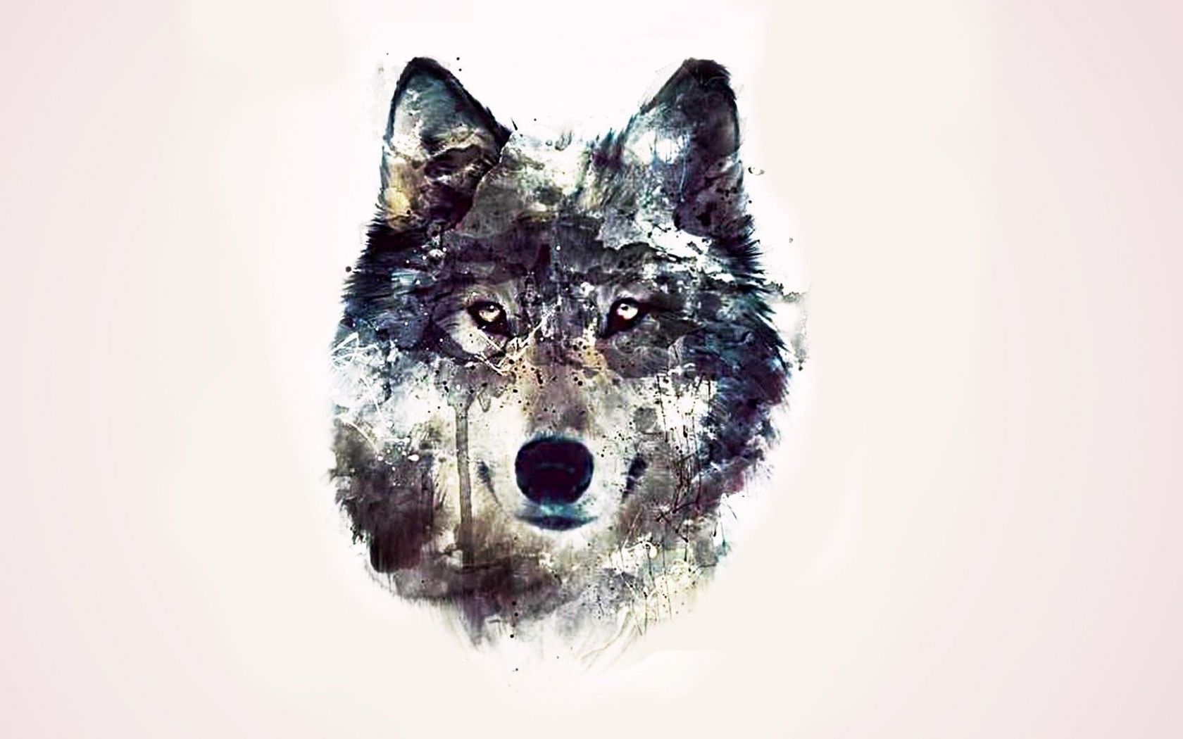 Free download Wolf drawing wallpaper 1207808 [1920x1080]