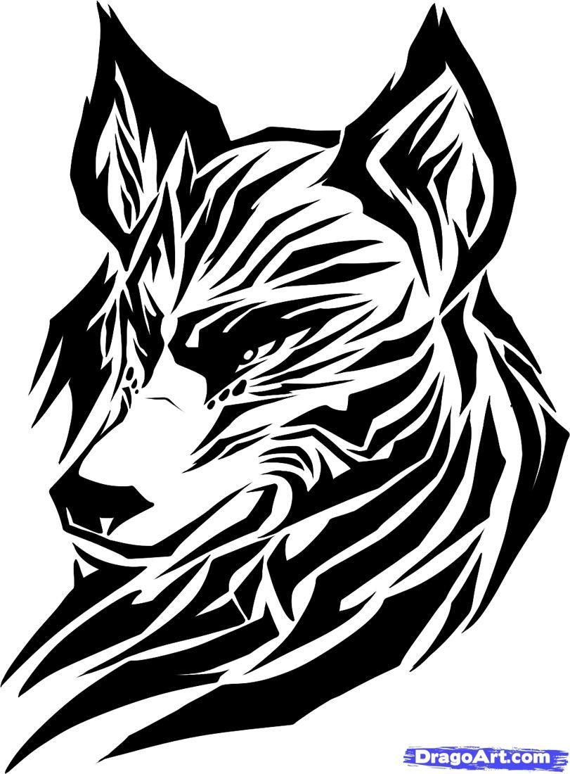 Wolf Image Drawings