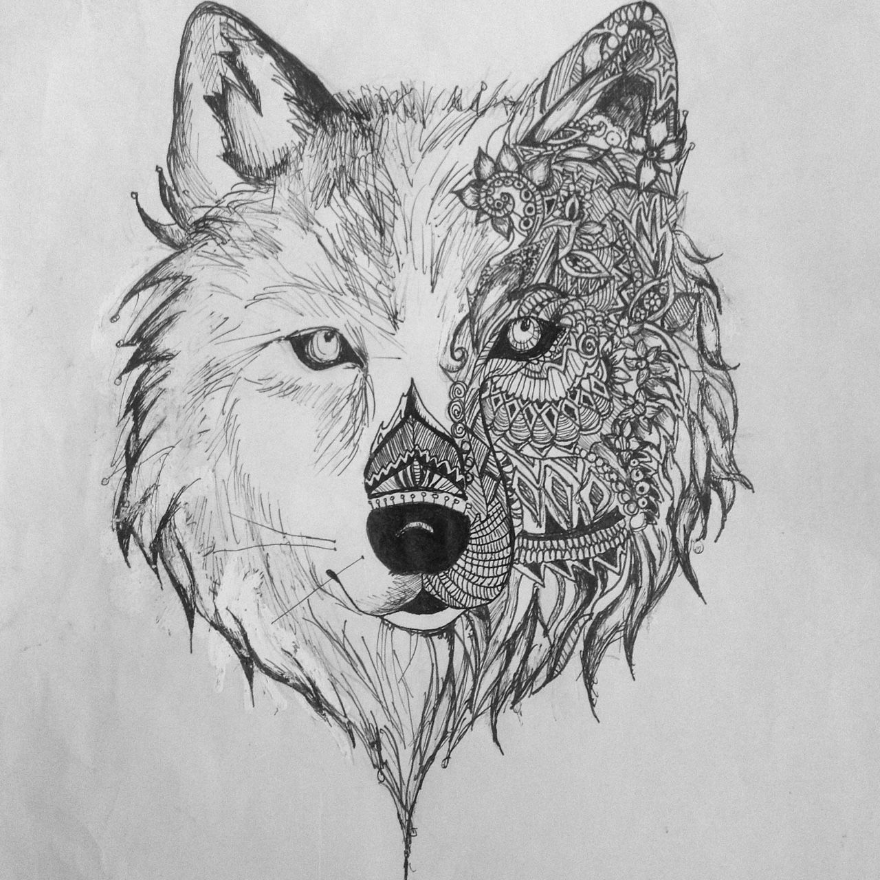 Wolf Geometric Drawing. Explore collection
