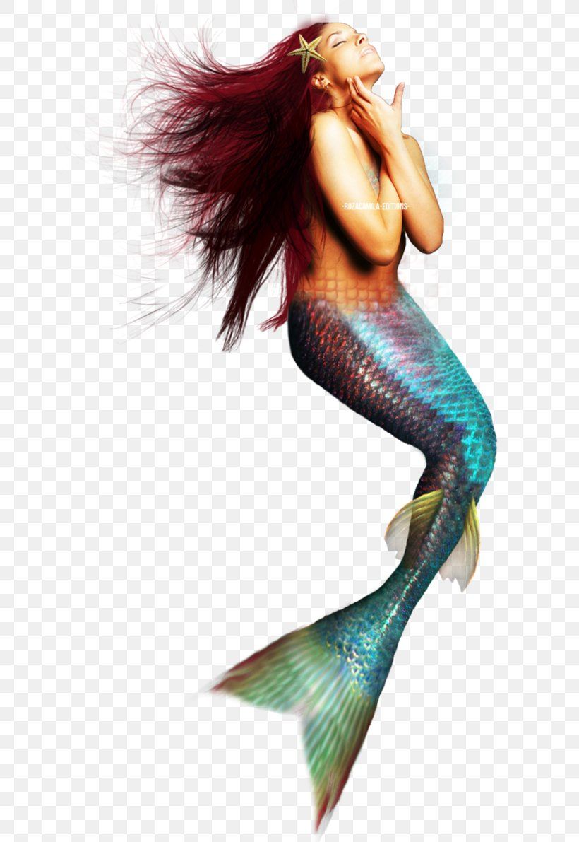 Mermaid Siren Photography, PNG, 671x1191px, Mermaid