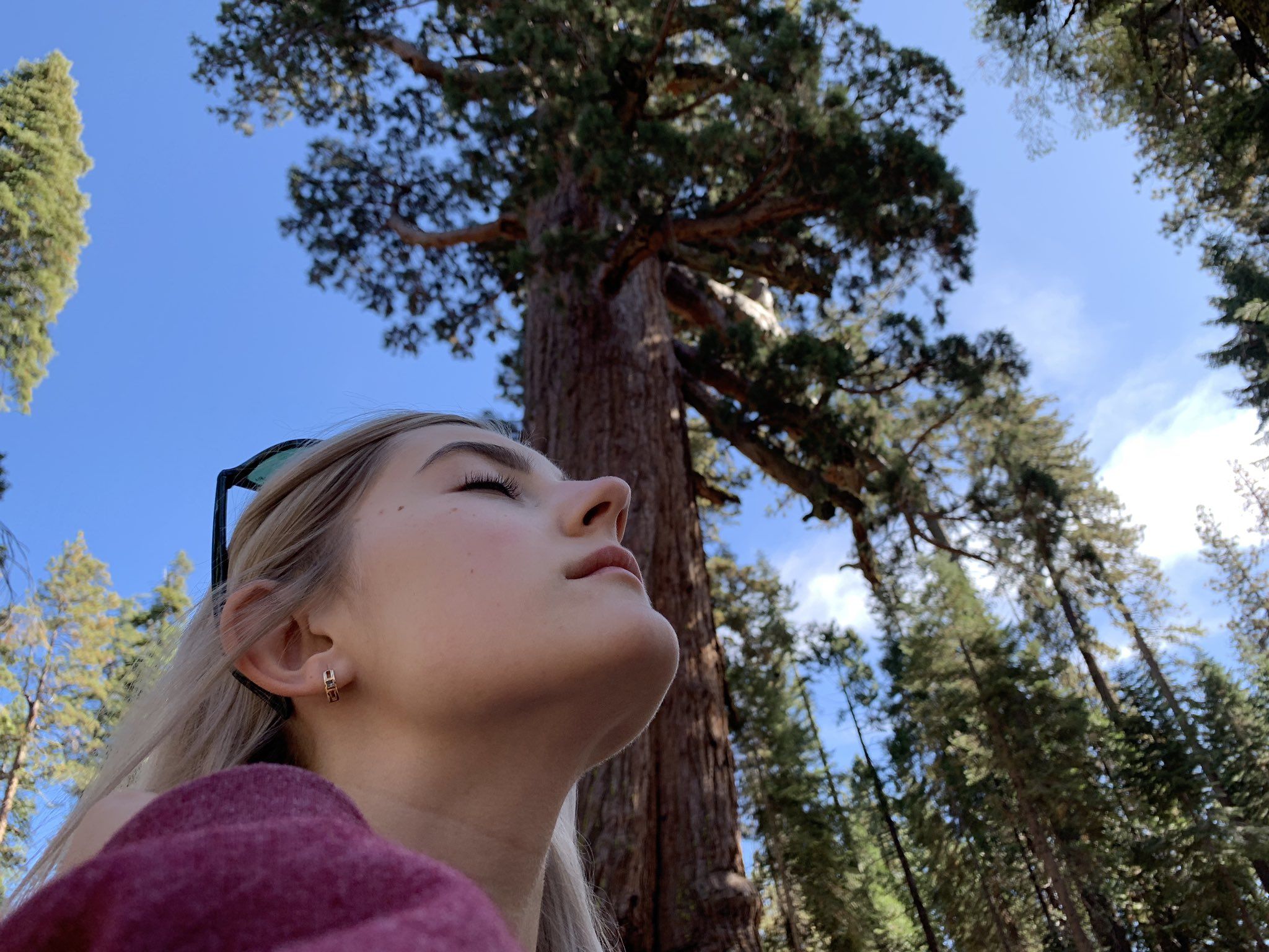 Eva Elfie on Twitter: Yosemite is awesome! 