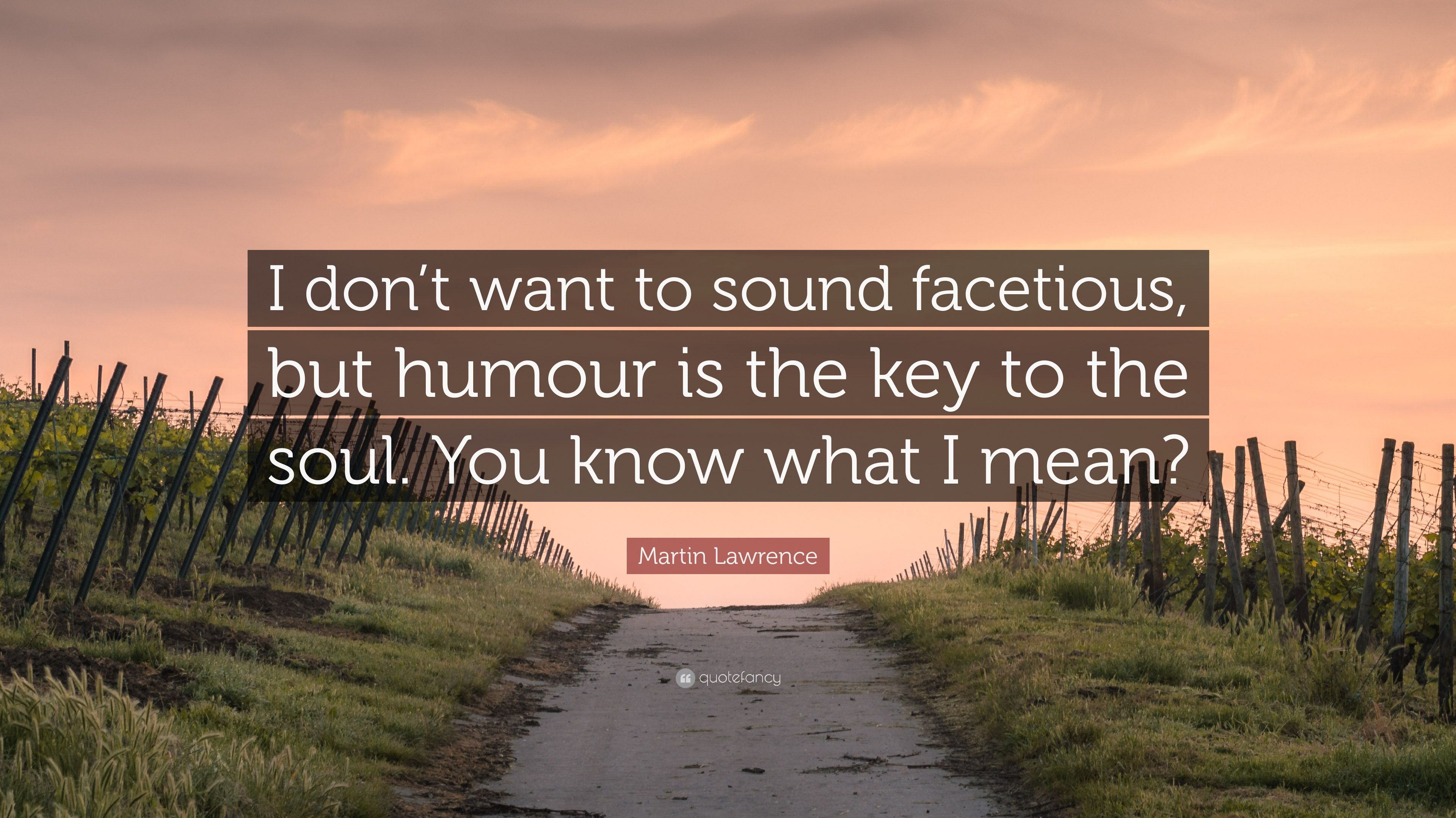 Martin Lawrence Quote: “I don't want to sound facetious, but
