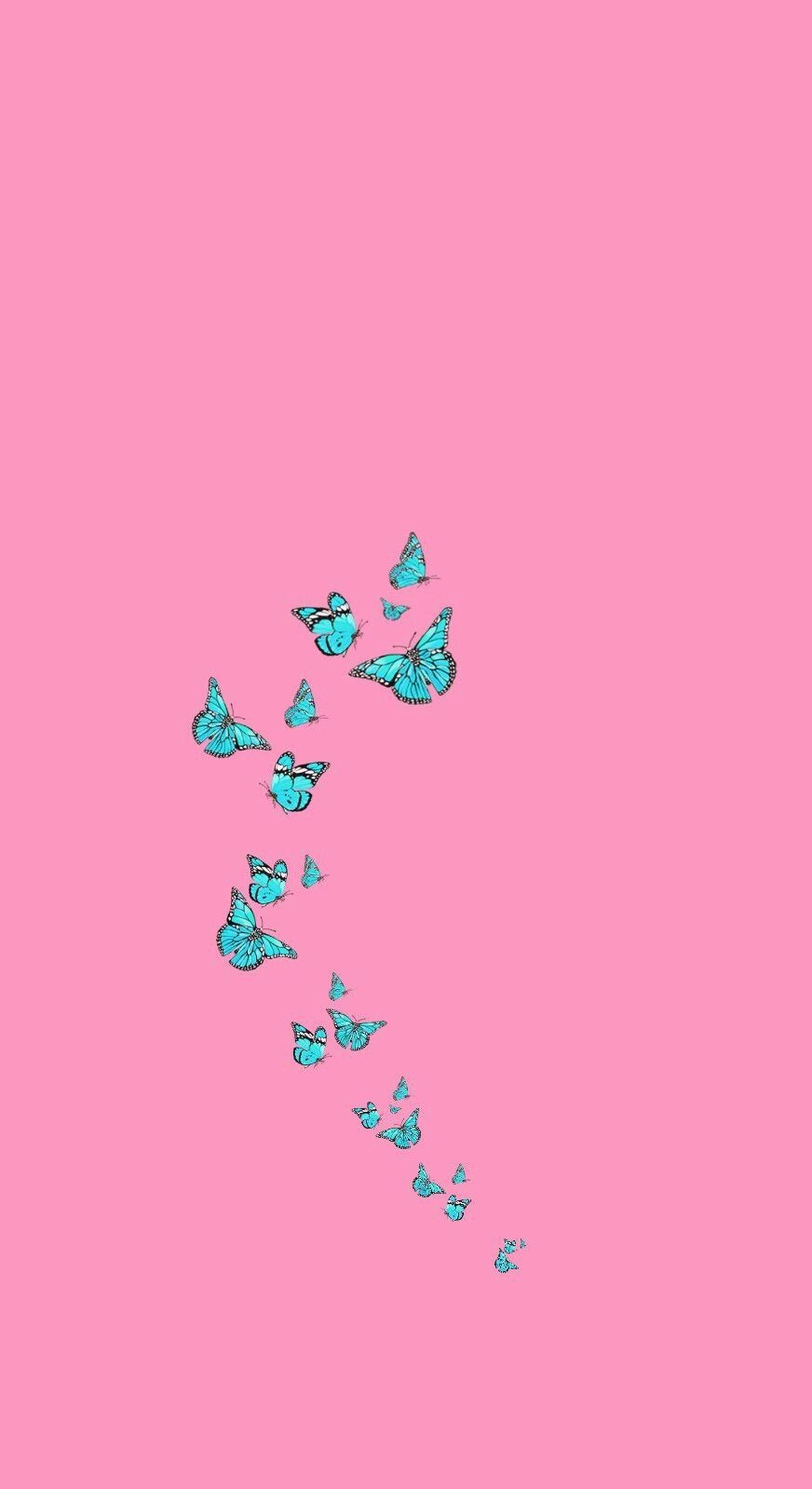 Aesthetic Vsco iPhone Wallpaper Butterfly