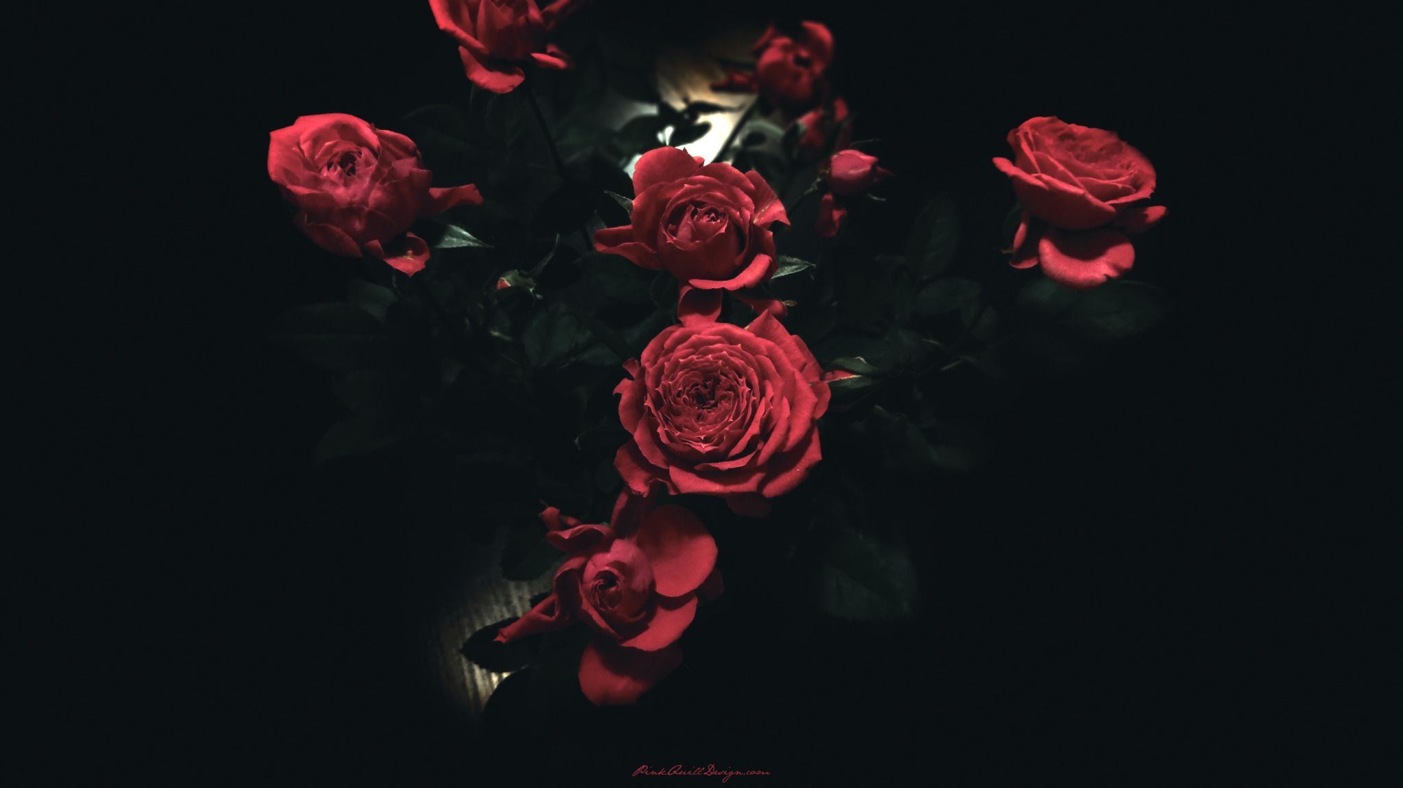 My Savesx1152 wallpaper, Dark red roses, Flower desktop wallpaper
