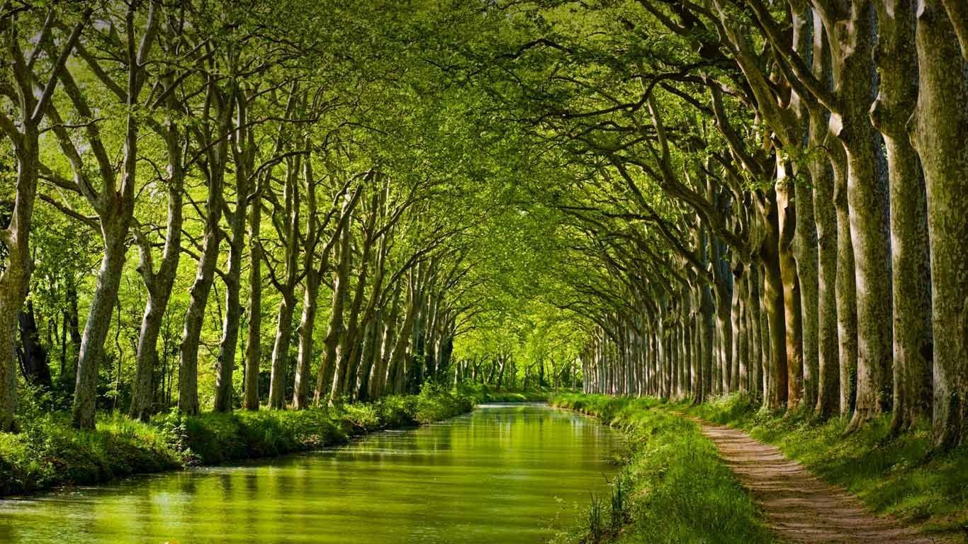 Late Spring Look On Canal Du Midi In Toulouse, Haute Garonne, Midi