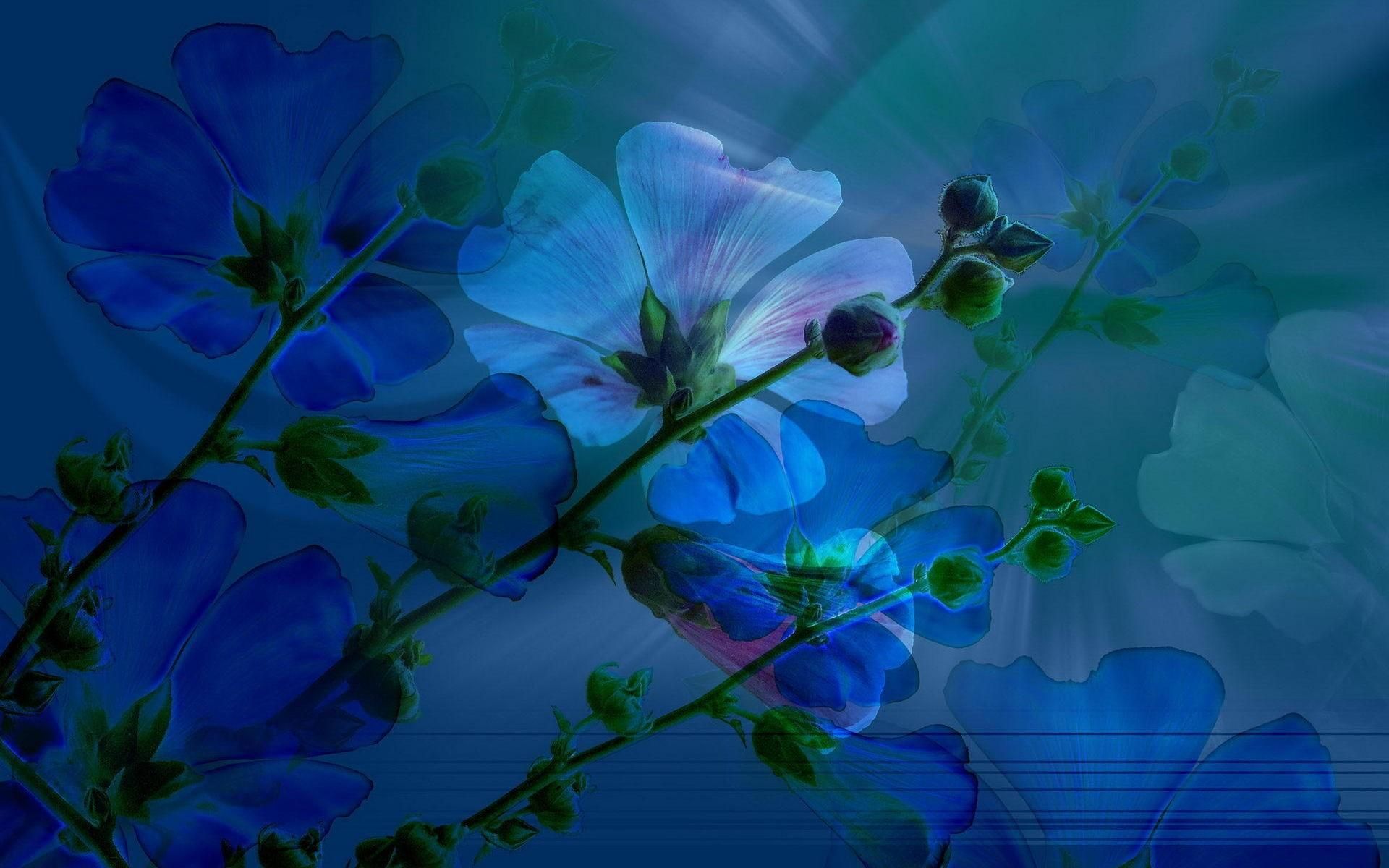 Blue Spring HD Wallpaper