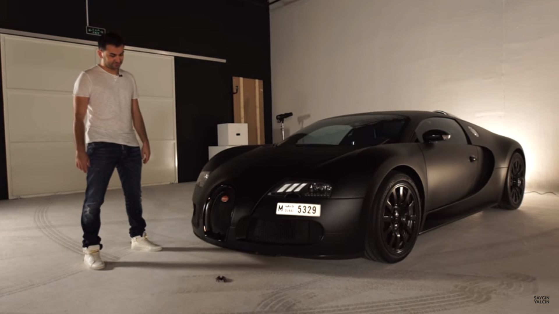 Video Of The Day: Animals Choosing Cars