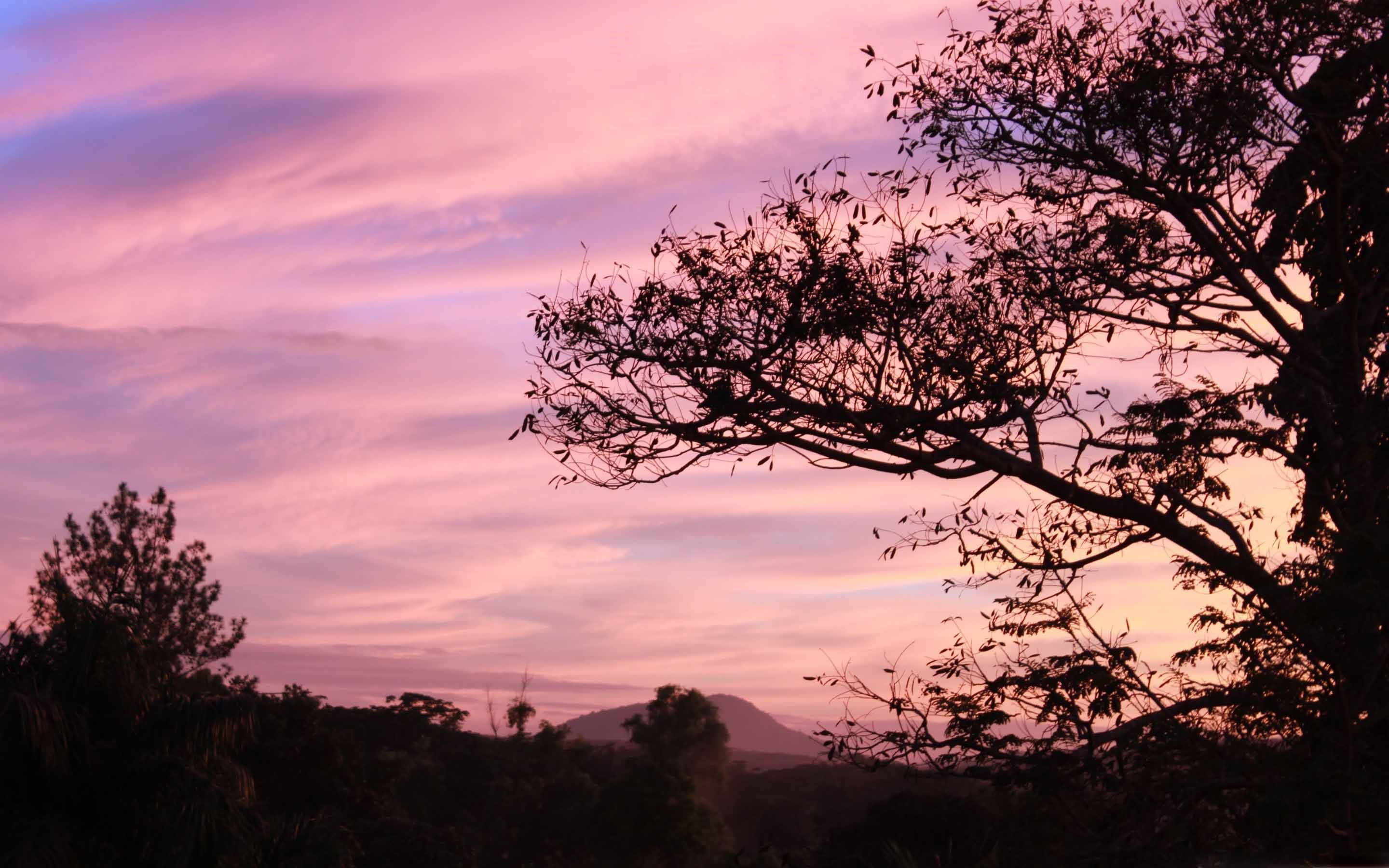 Pink Aesthetic Background Landscape Sky Upload Personal Featured Pink
