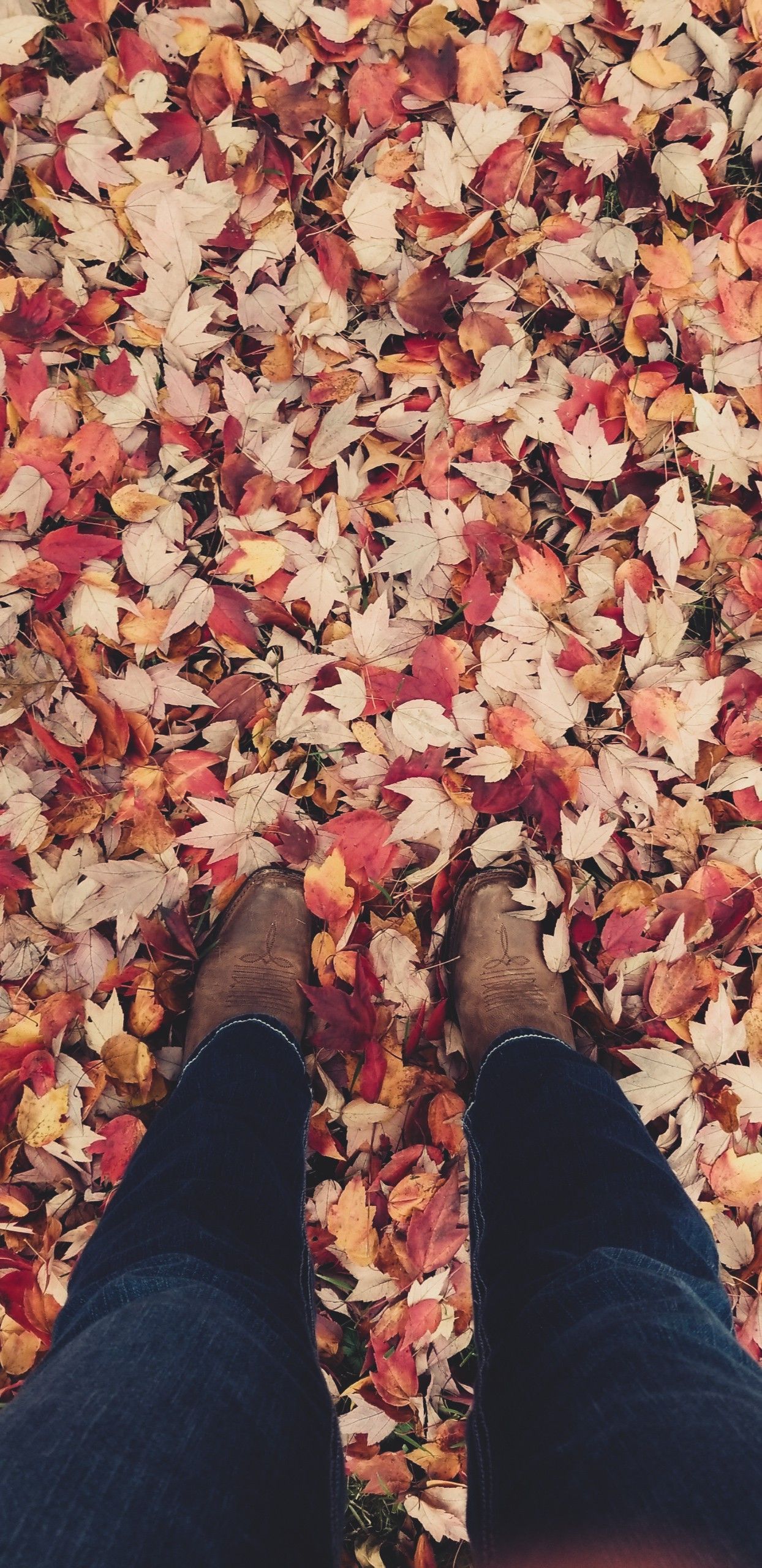 Fall leaves and cowboy boots wallpaper. Wallpaper, Autumn leaves