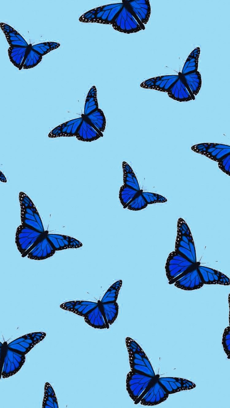 VSCO Butterfly Aesthetic Cover Wallpapers - Wallpaper Cave