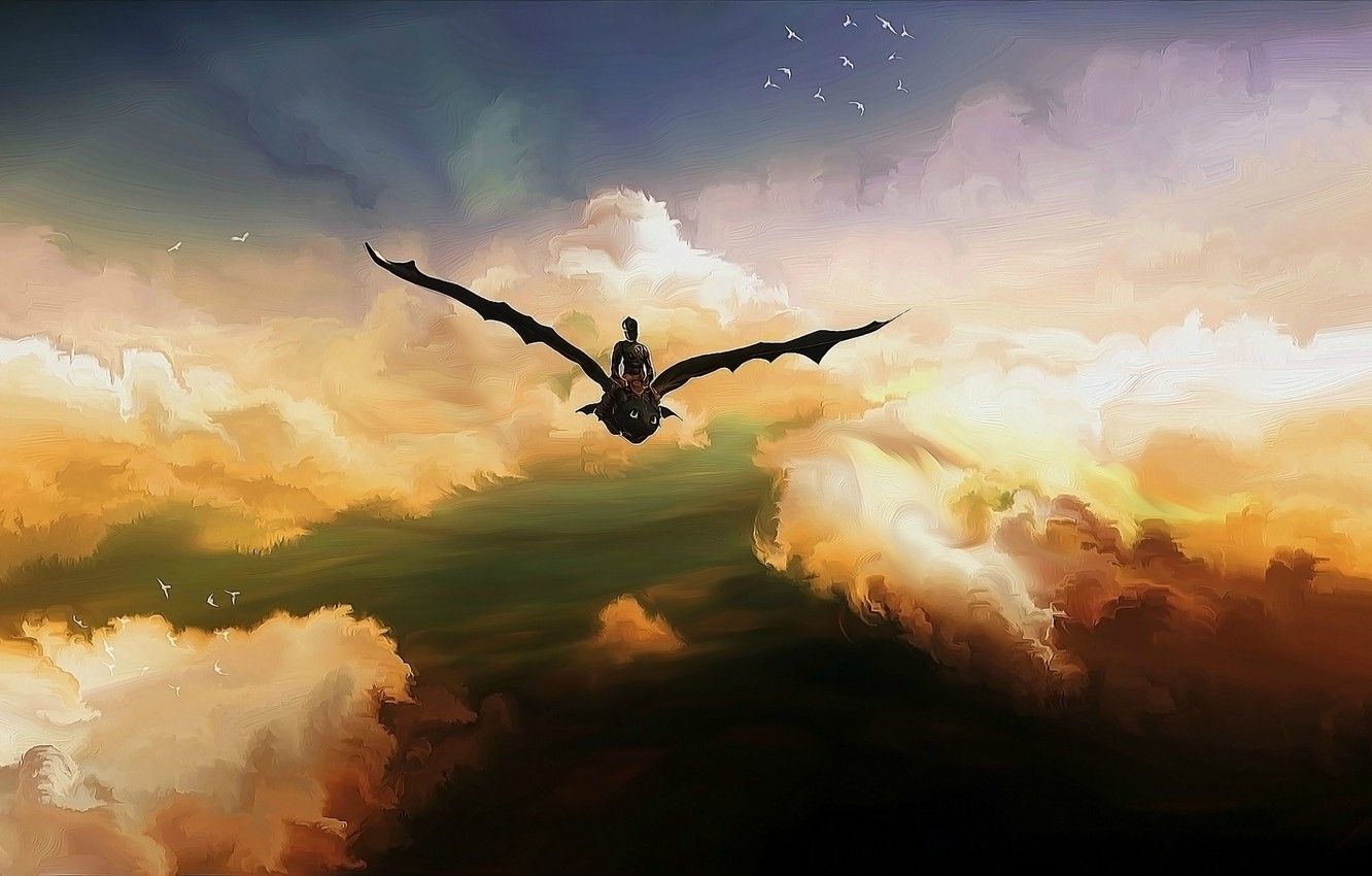 Wallpaper the sky, birds, Hiccup, Toothless, Toothless, the night