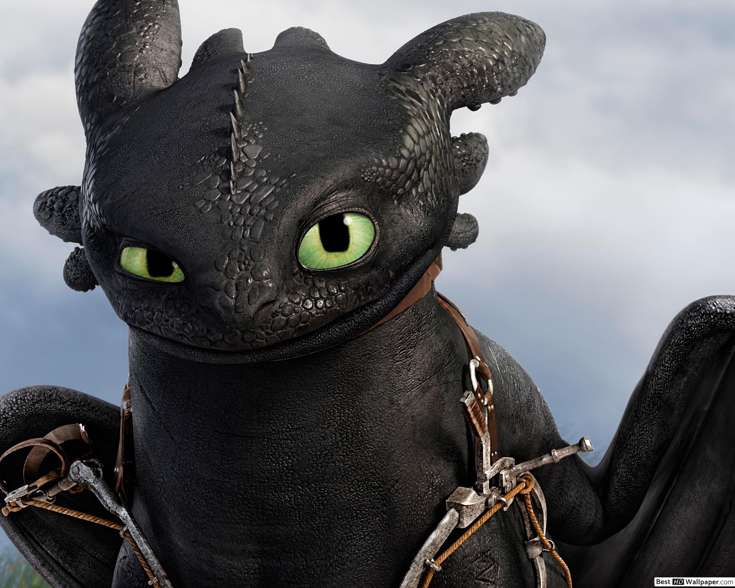 How To Train Your Dragon Hidden World Fury Toothless