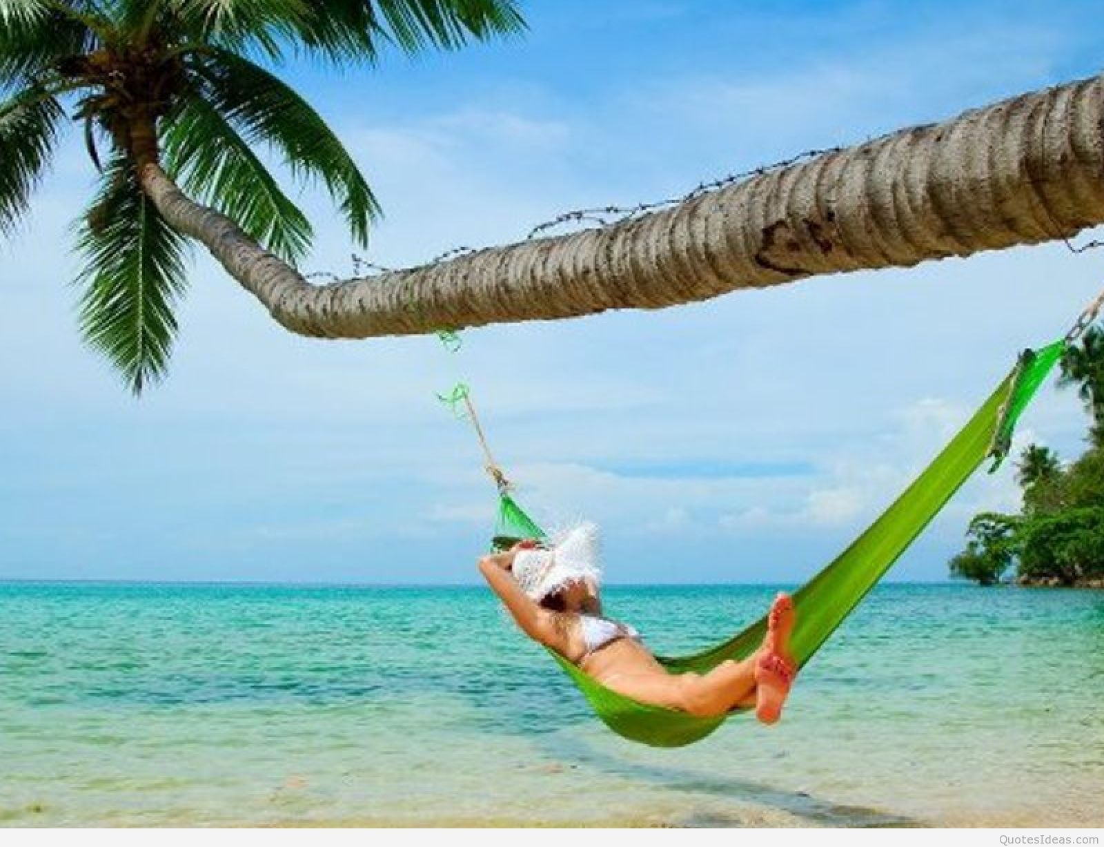 Amazing summer wallpaper