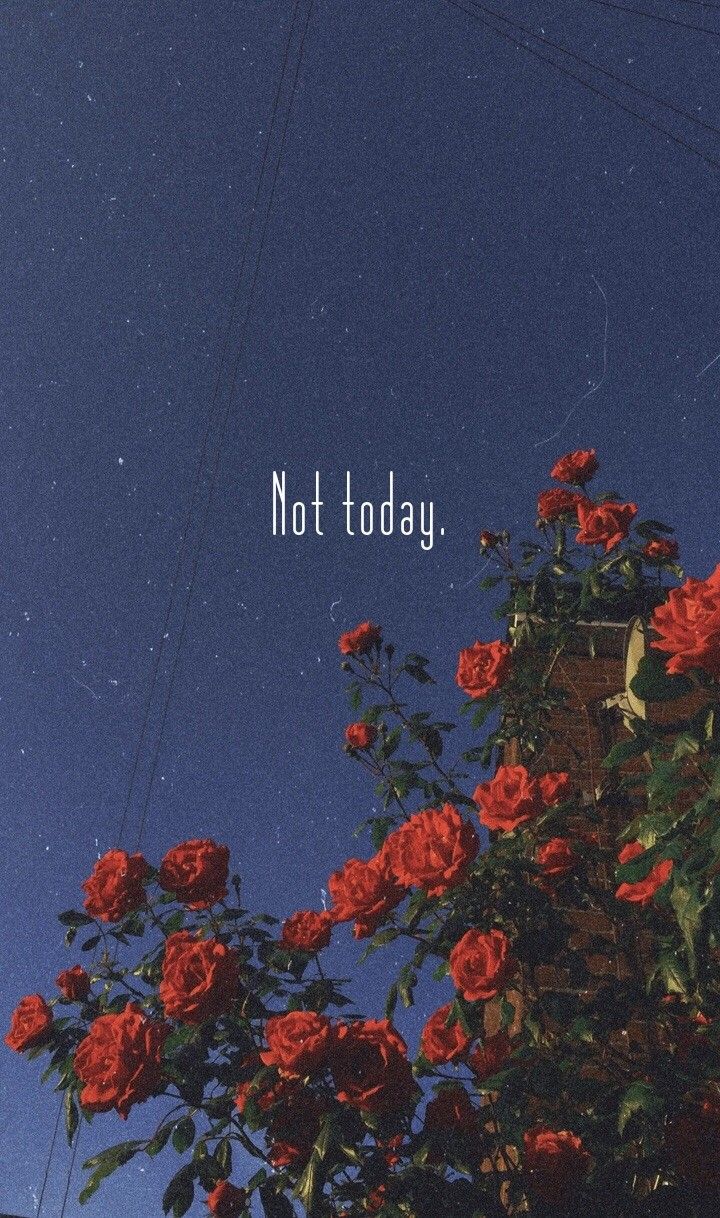 Not today. Phone wallpaper. discovered by