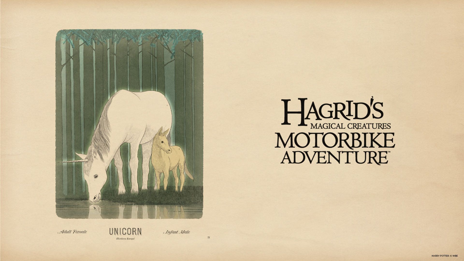 Download Hagrid's Magical Creatures .blog.universalorlando.com