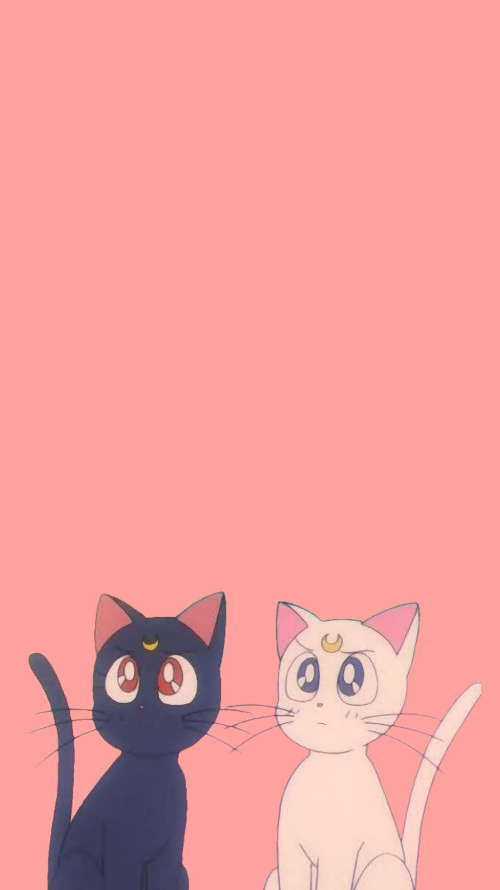 Sailor Moon Cats Wallpaper Free Sailor Moon Cats