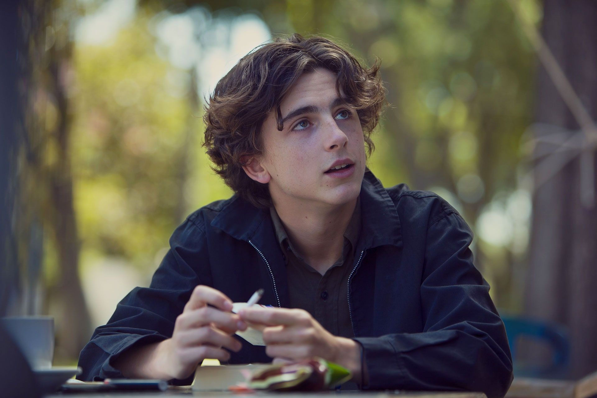 of the best Timothée Chalamet films