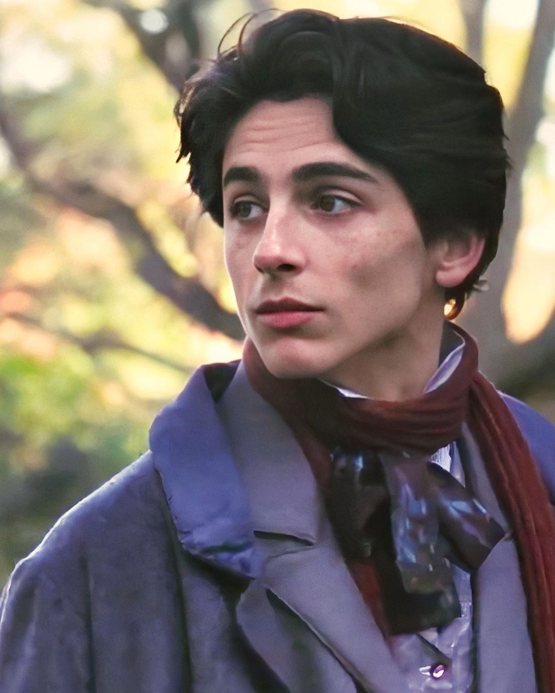 Little Women Timothee Chalamet Wallpapers - Wallpaper Cave