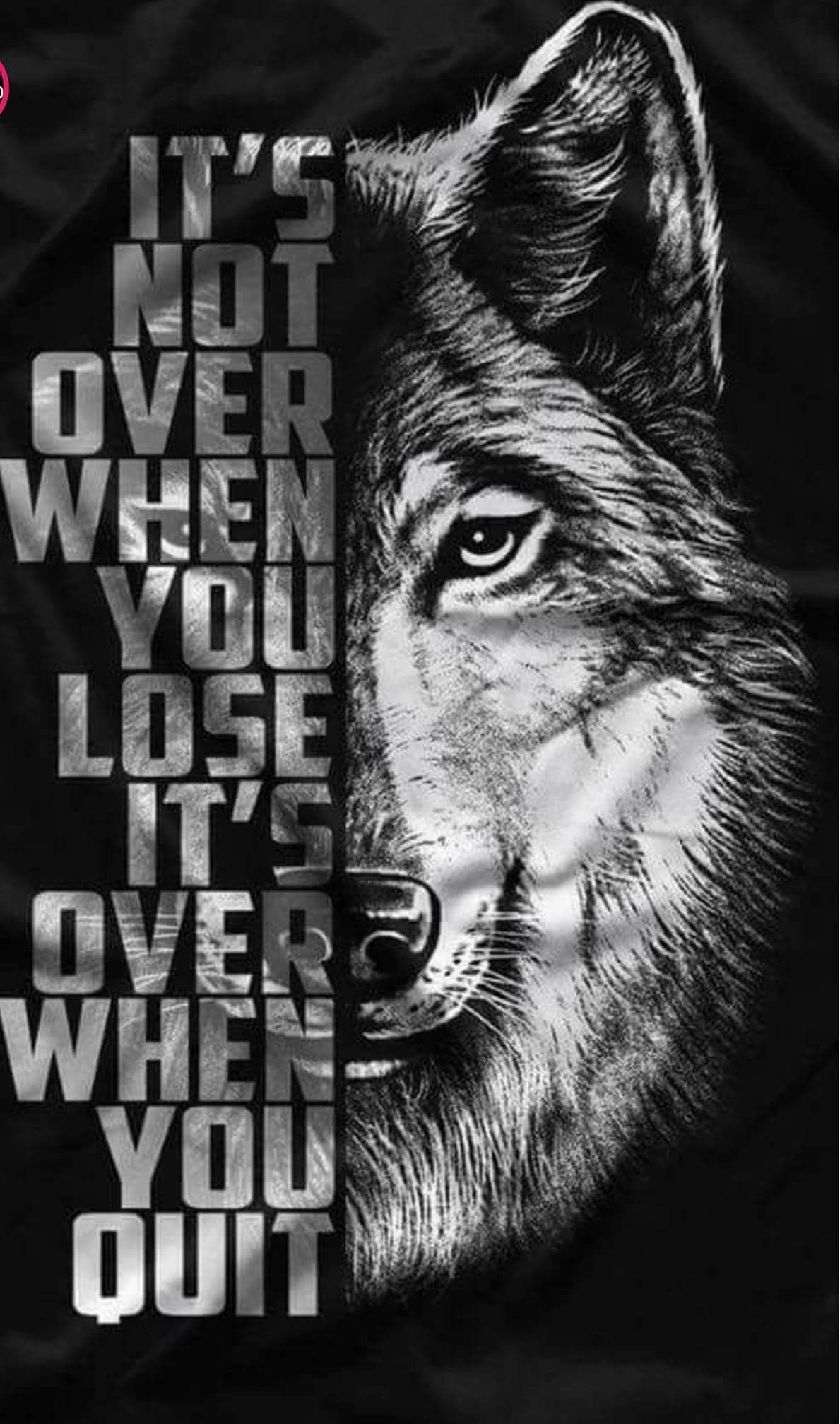iPhone Black Alpha Wolf Symbol Wolf Wallpaper