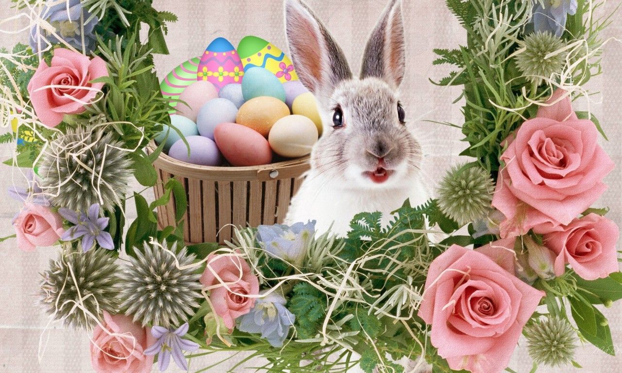 free wallpaper easter bunny rabbits.. bunny, colored eggs