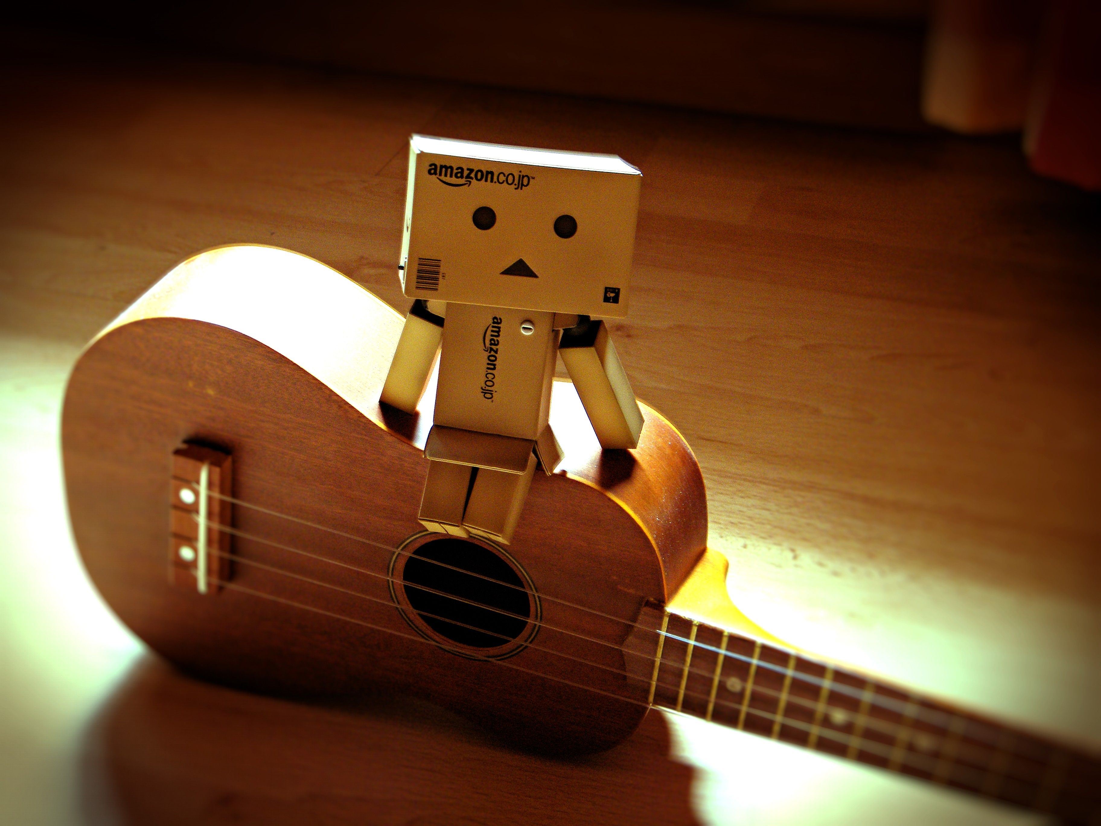 HDQ Cover Danbo Image, Wallpaper for Desktop, B:LHJ6 WP