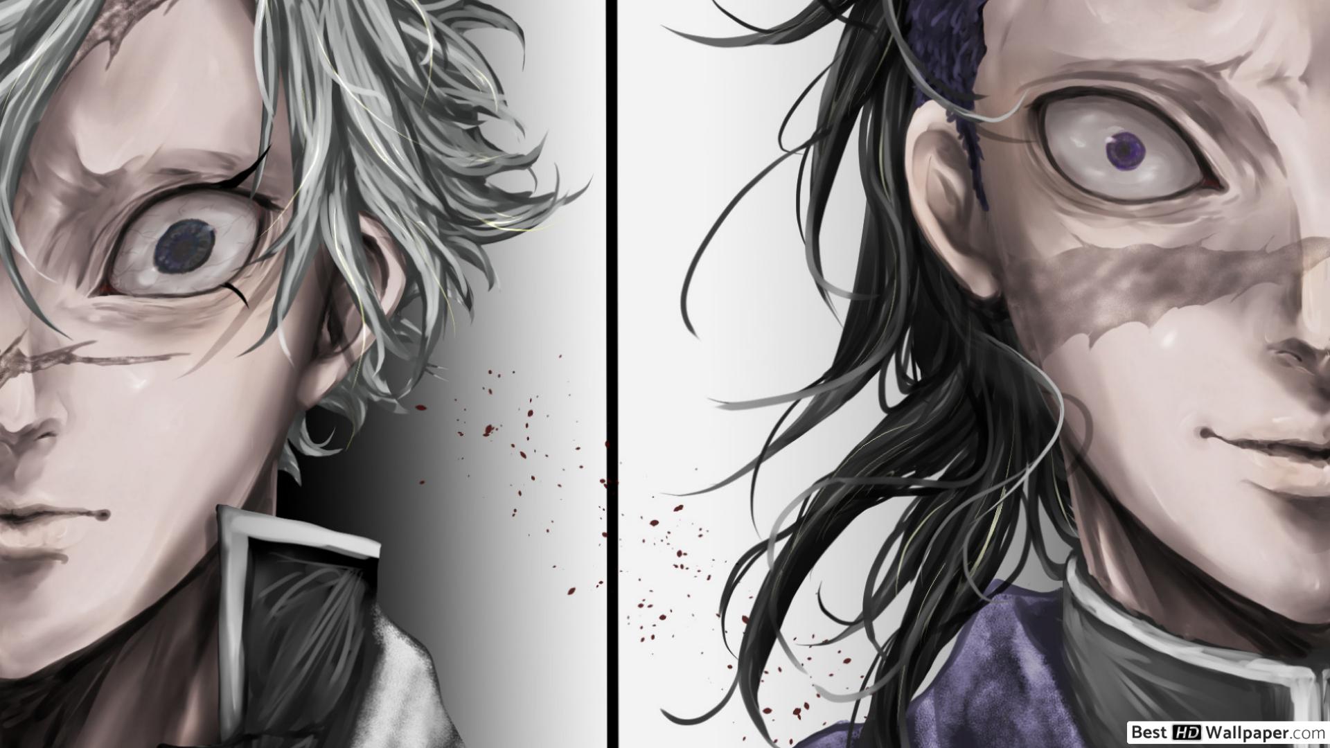 Demon Slayer, Kimetsu No Yaiba Shinazugawa & Genya