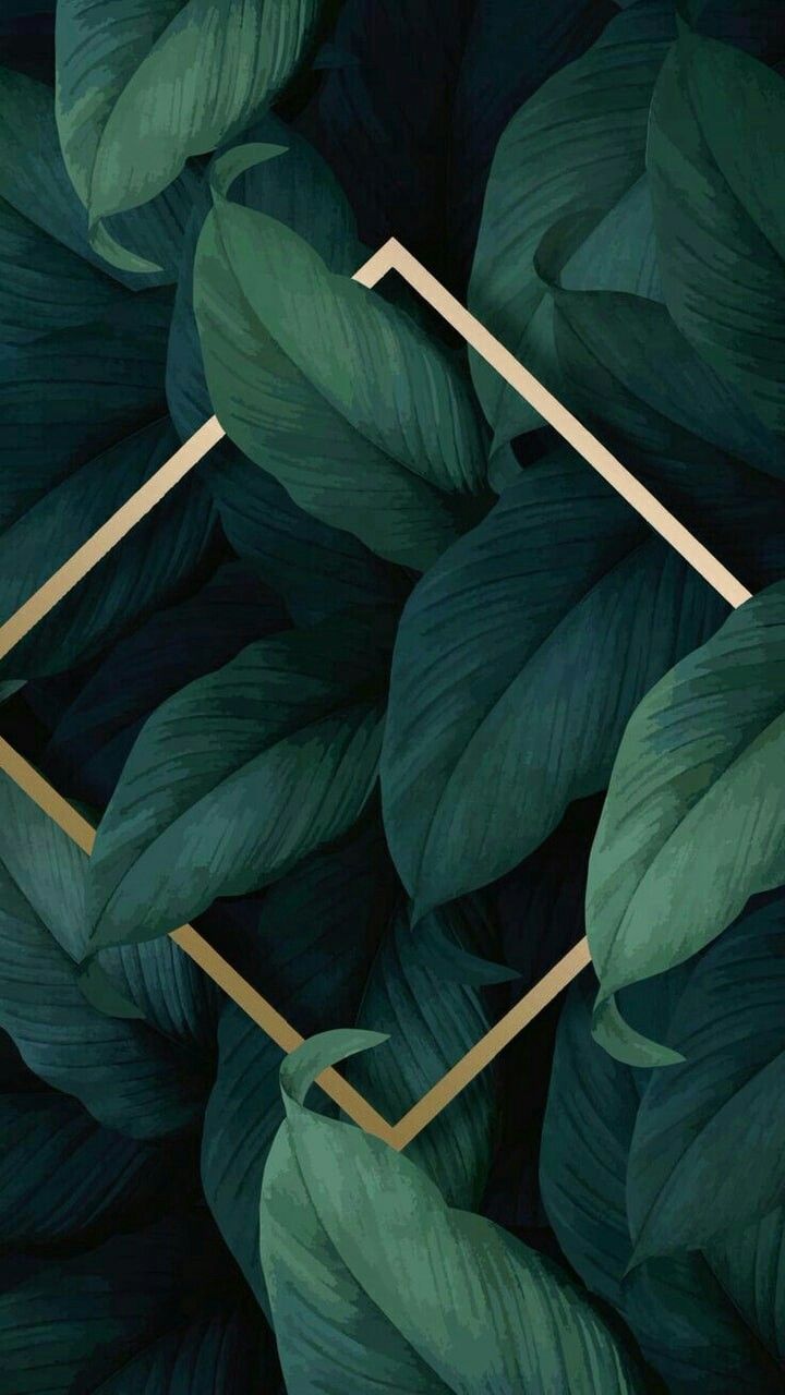 Gambar Daun  Aesthetic  Tumblr