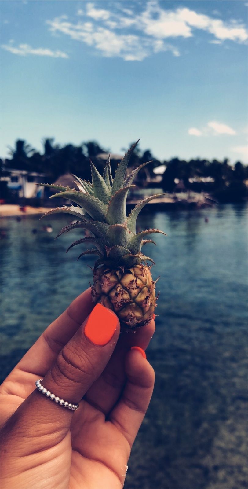 Photo by kathrynkramer. VSCO /vsco