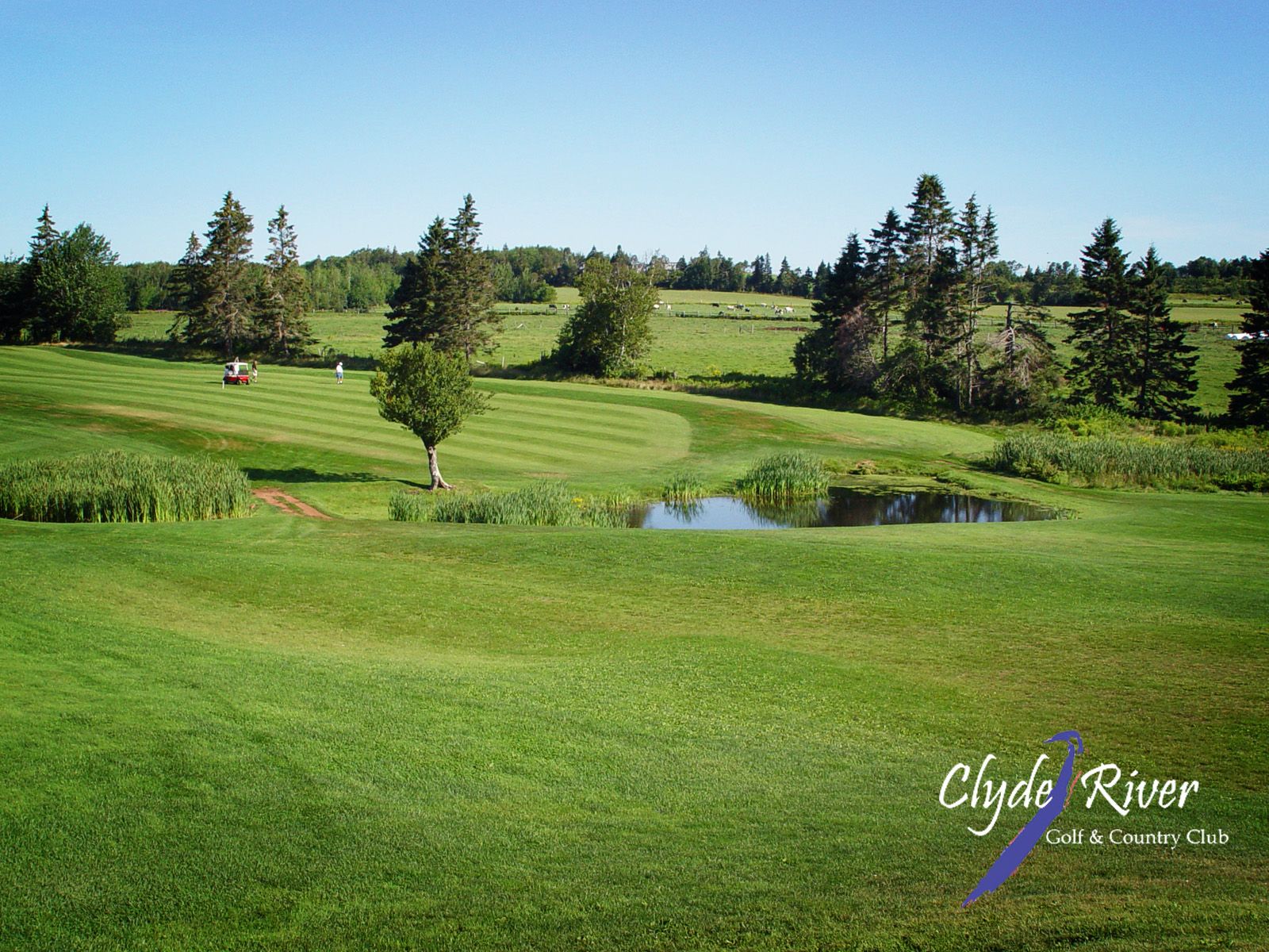 Wallpaper River Golf Club