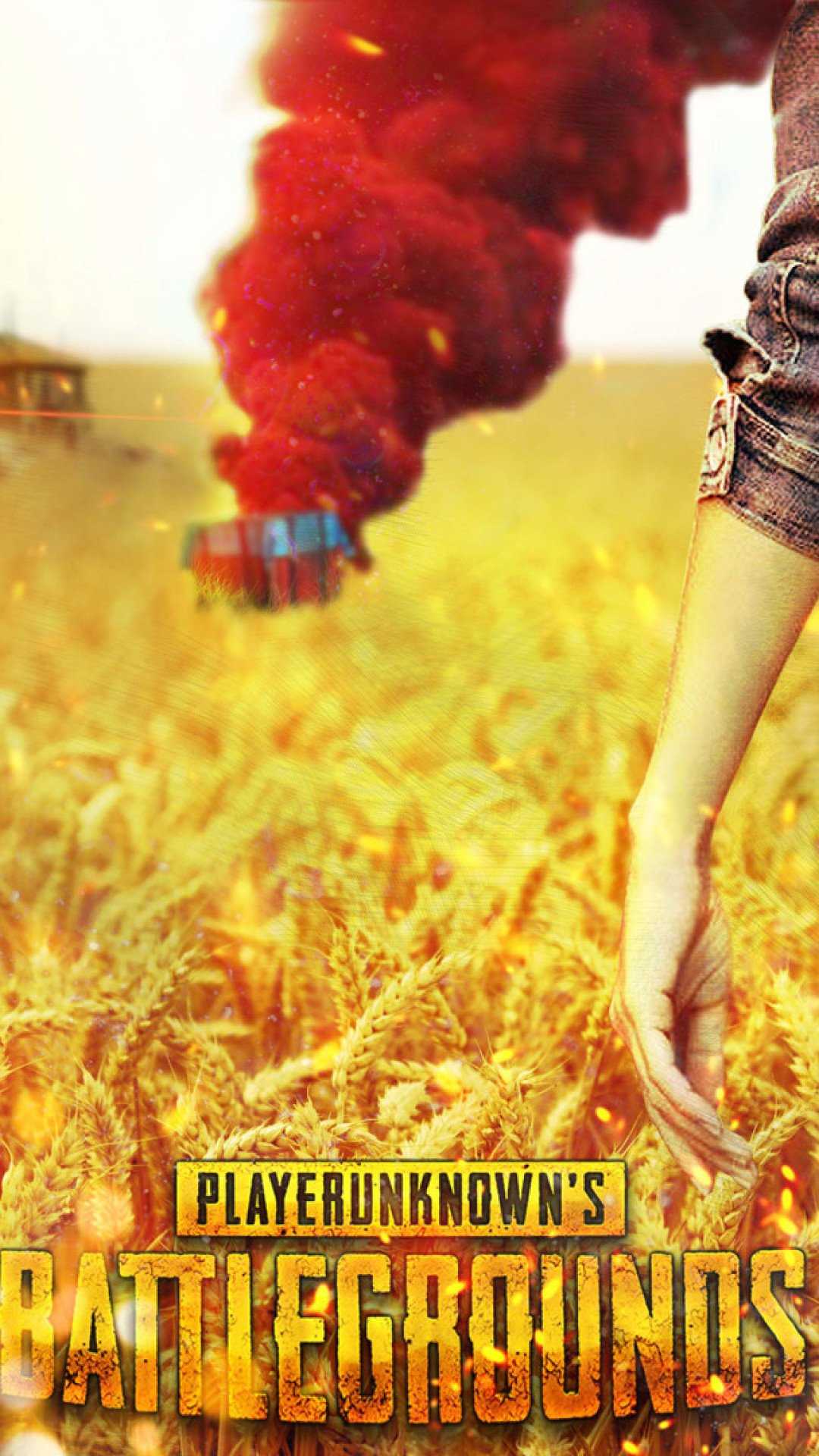 Playerunknowns Battlegrounds 1080P HD Wallpaper (1080x1920)