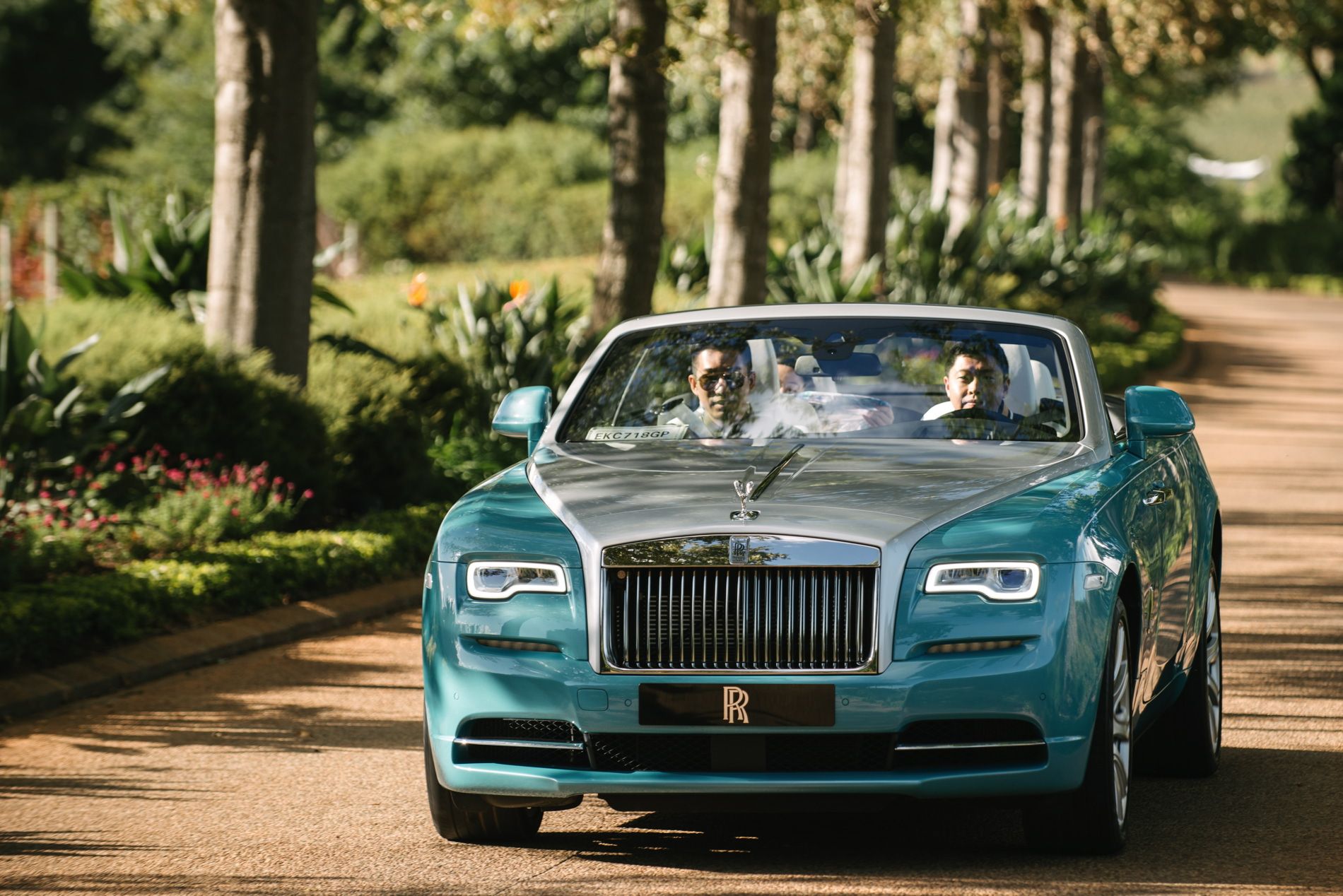 Rolls Royce Dawn Gallery From South Africa