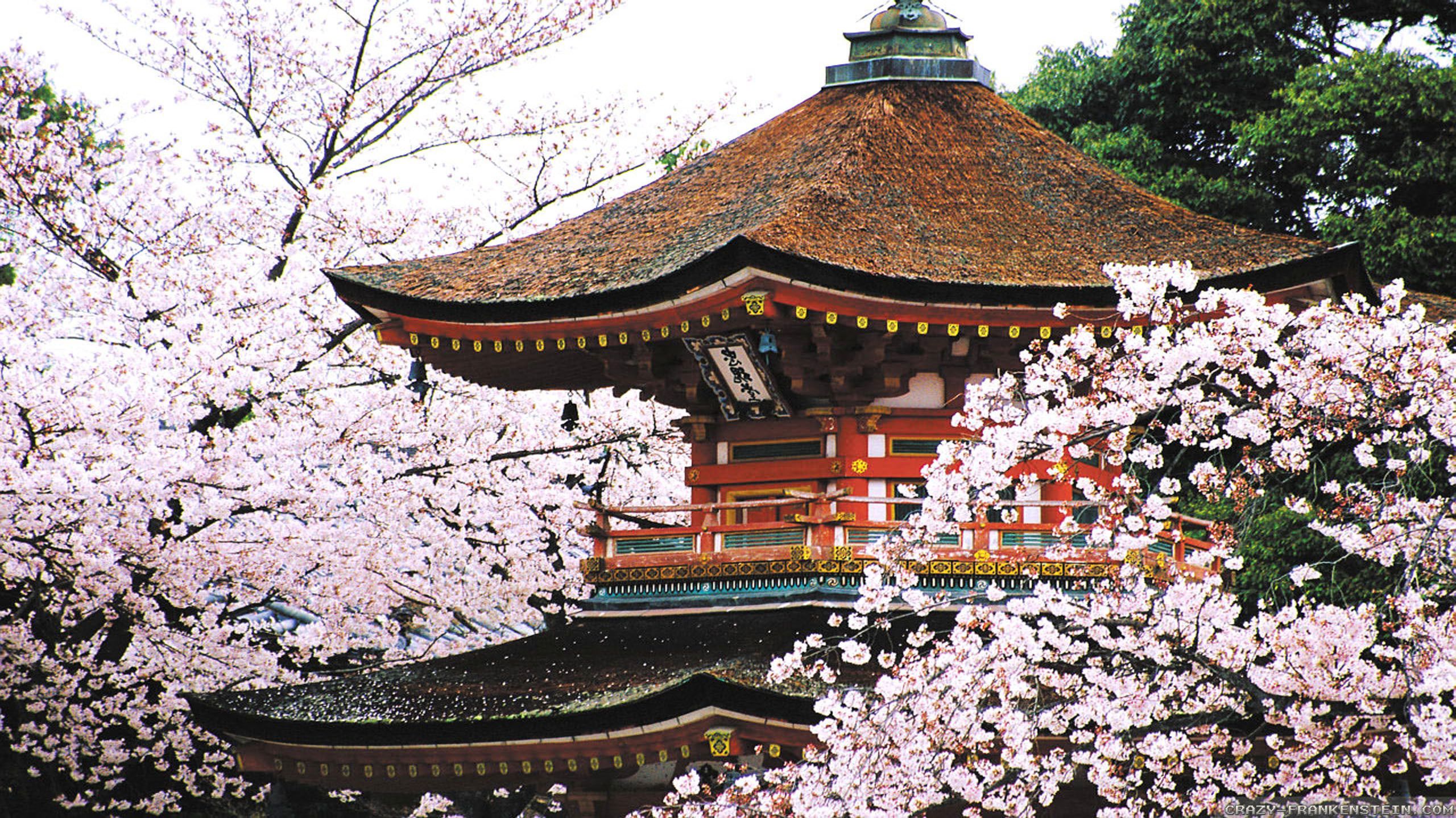 100 Kyoto Wallpapers  Wallpaperscom