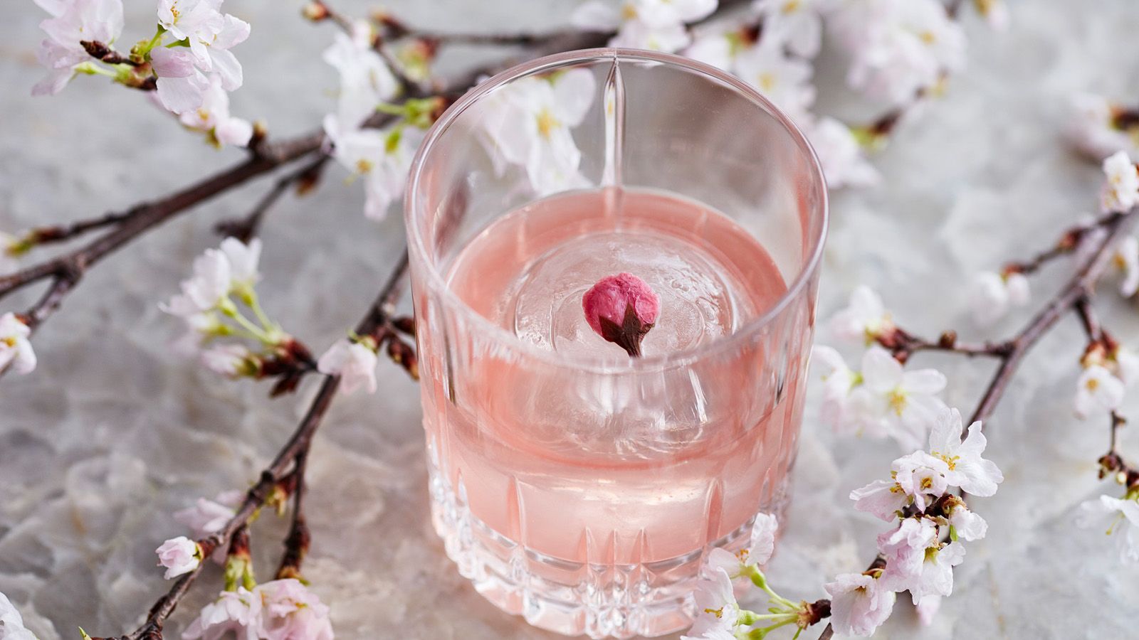 Cherry Blossom Celebrations: Four Seasons Hotel Kyoto Offers
