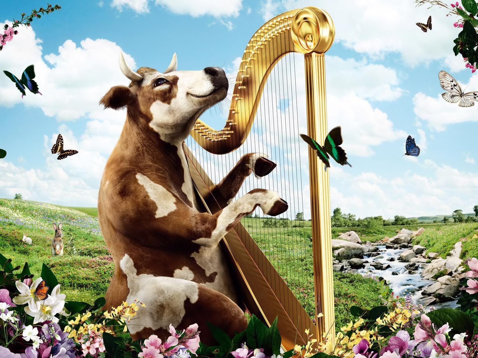 playing, you should sing along ( #animals #farm #cows ) ✌eace