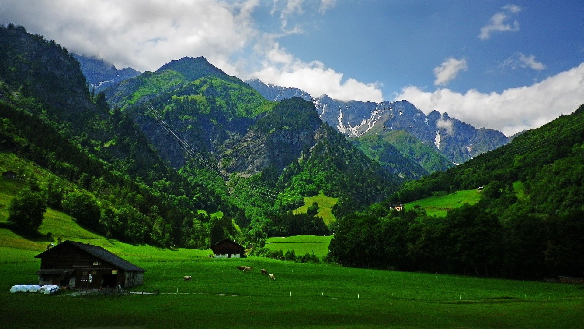 nature, Landscape, Alps, Mountain, Cabin, Grass, Spring, Cows