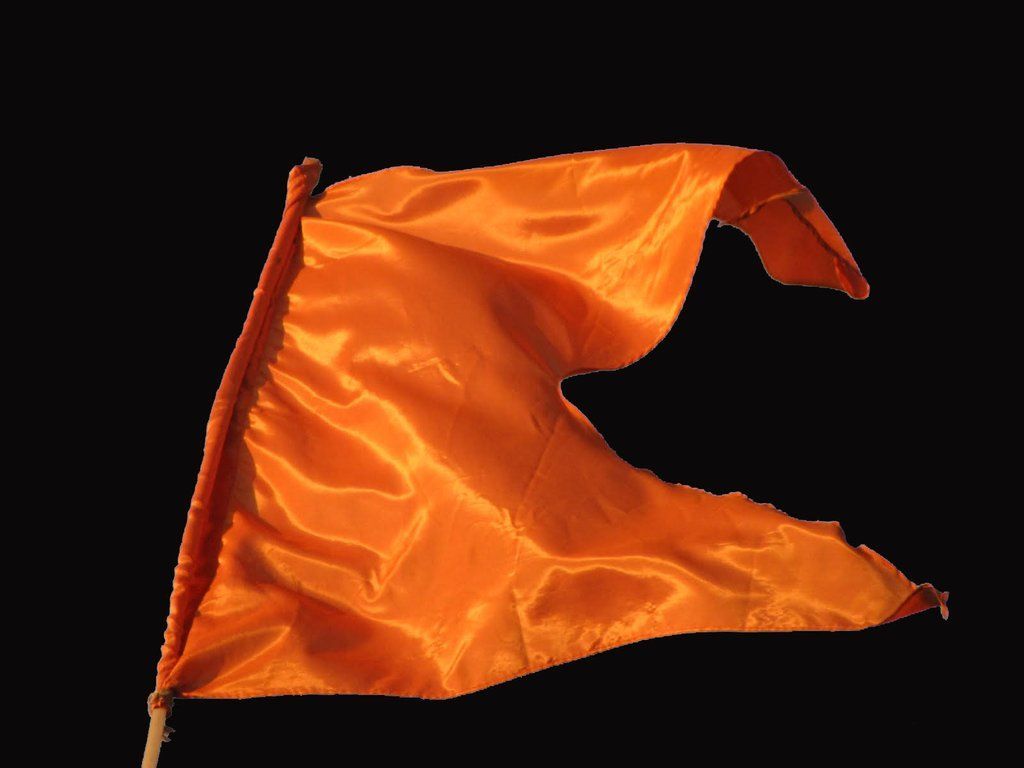 Saffron Flag. Banner background image, Paint vector, Beautiful wallpaper