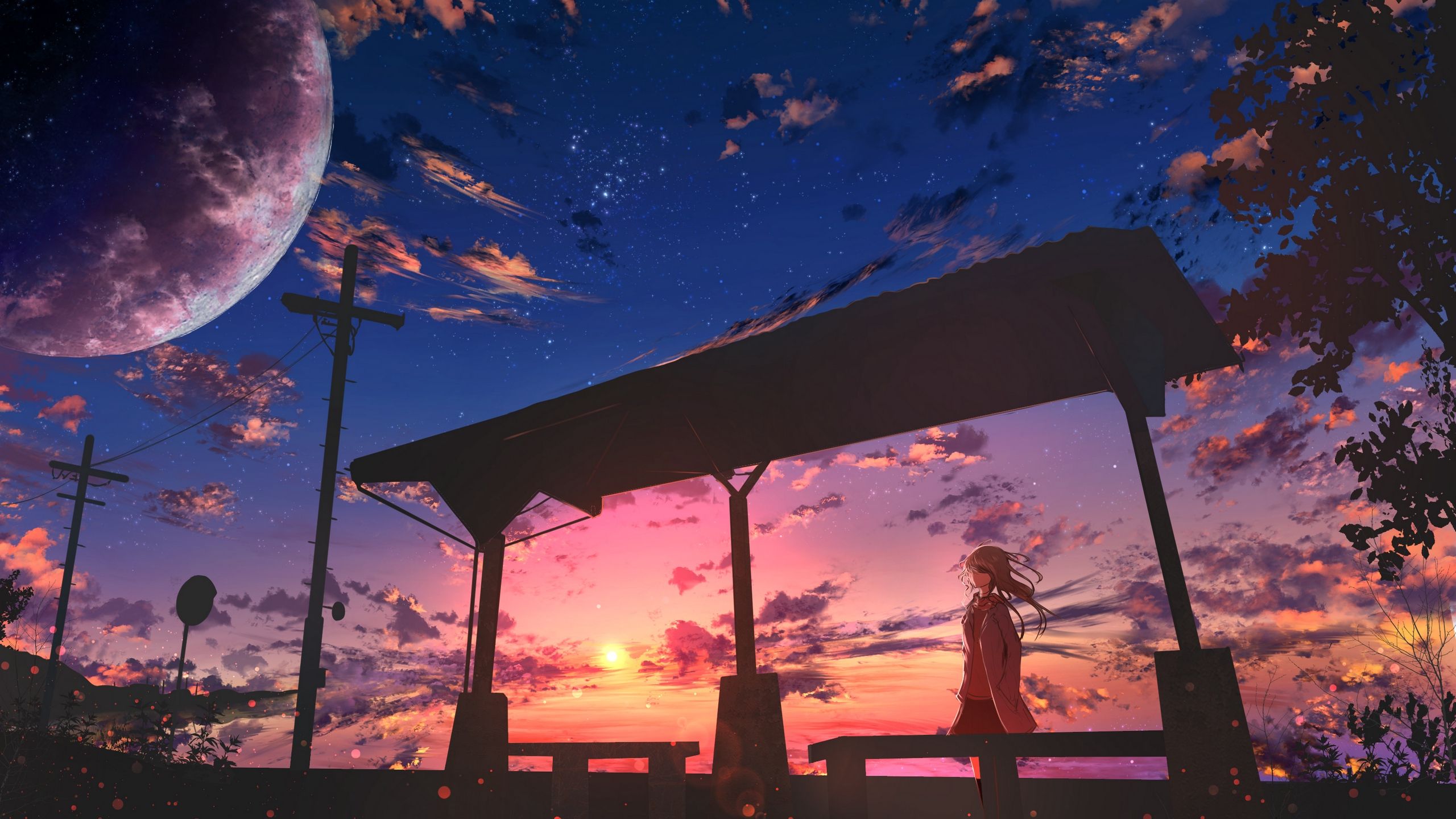 Download wallpaper 2560x1440 girl, twilight, clouds, anime