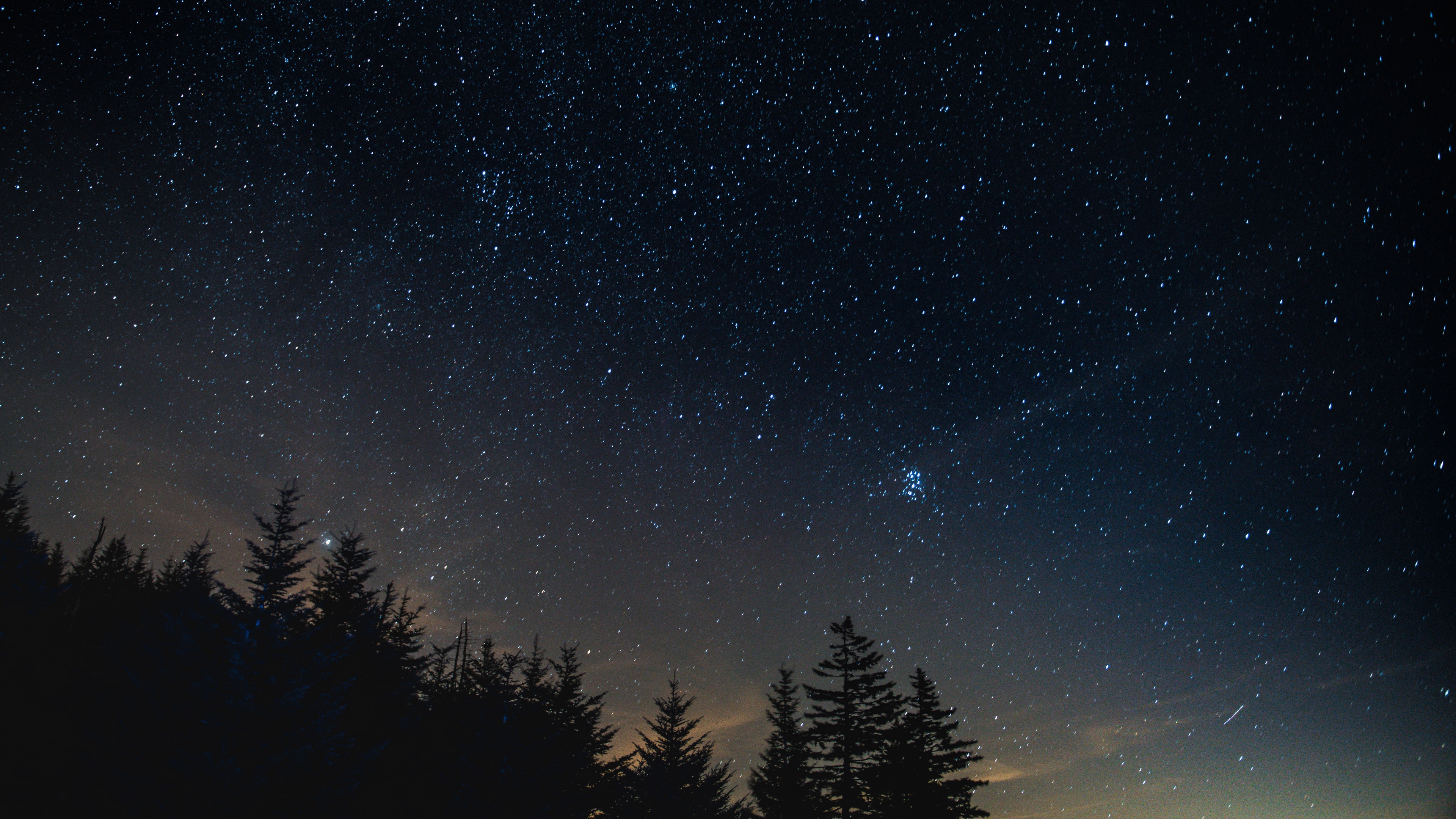 Starry sky night trees night landscape [3840x2160]