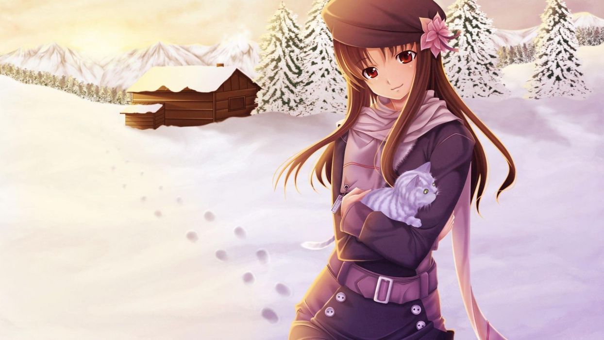 Cute anime girl brown eyes brown hair with cat winter wallpaper
